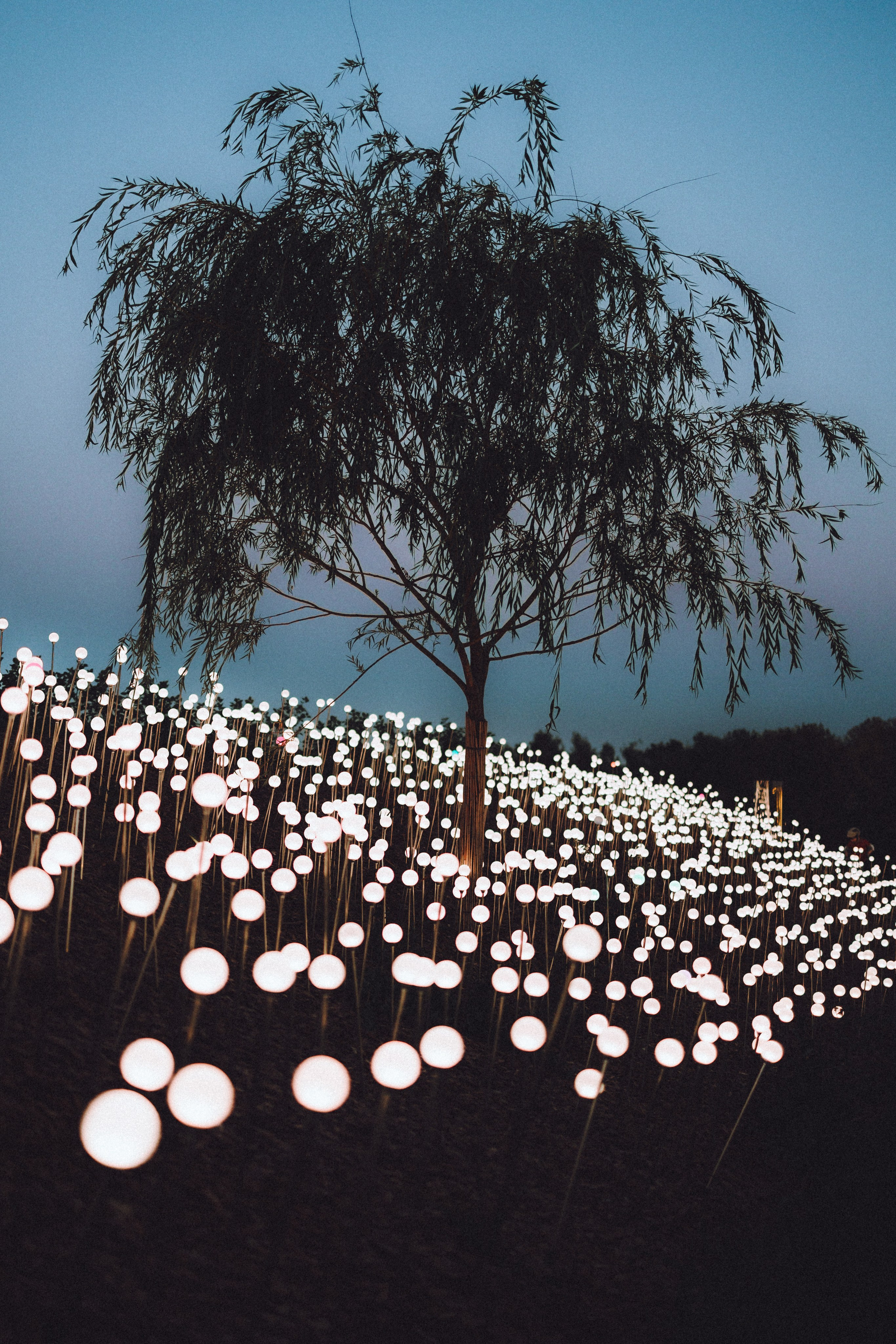 Наташа и Вики