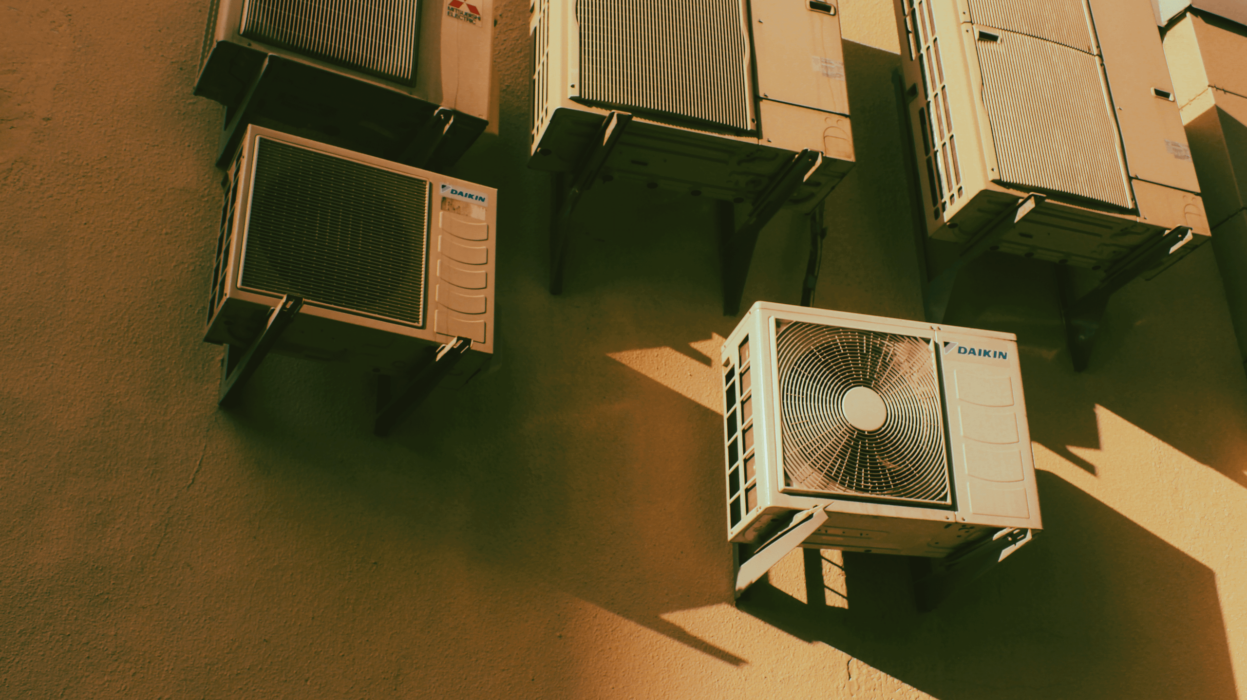 TMN autumn '24. Фотограф/дизайнер в Екатеринбурге Хитрый Дмитрий