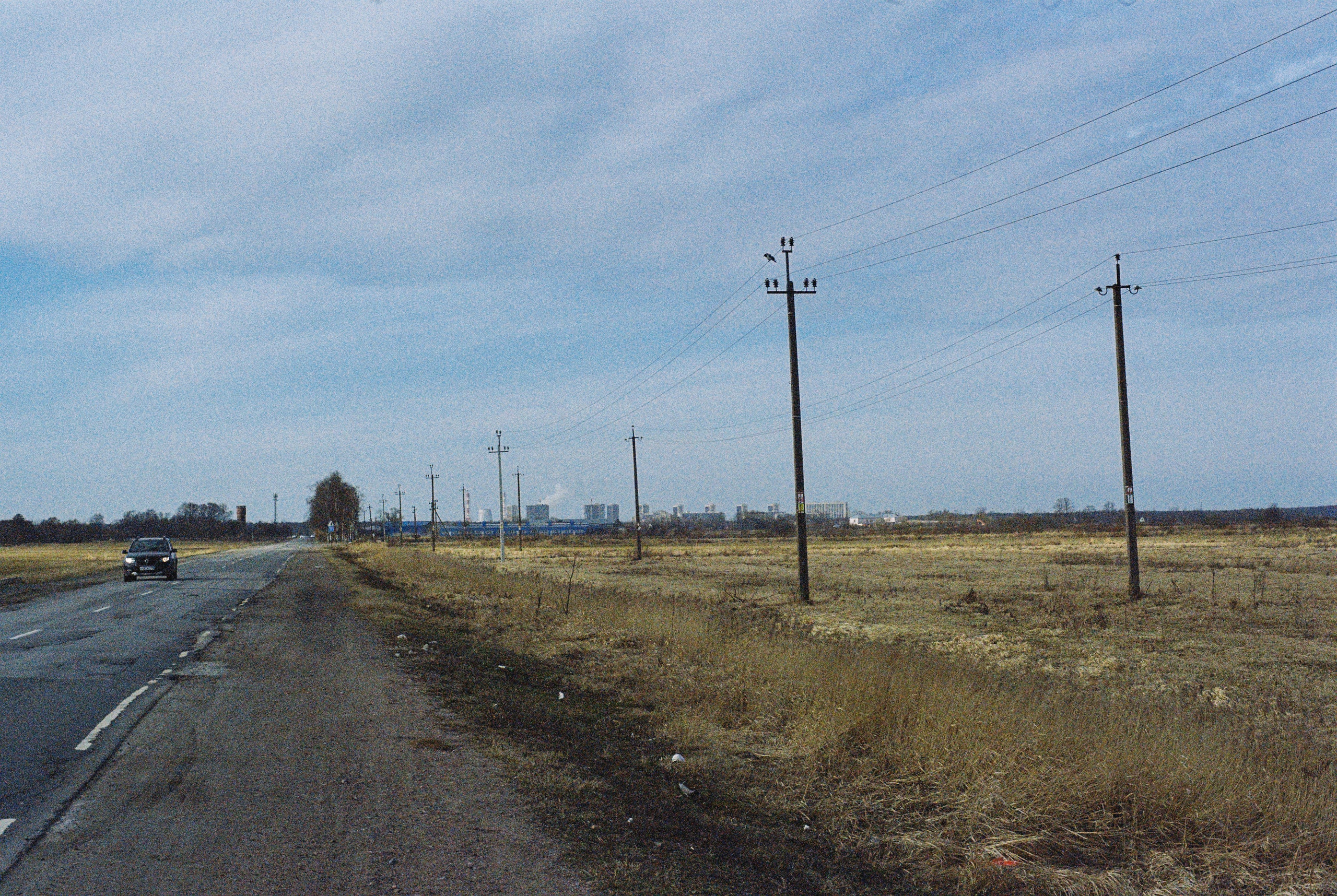 Плёночная весна 2025. Илья Михачёв Фотограф ПРО людей