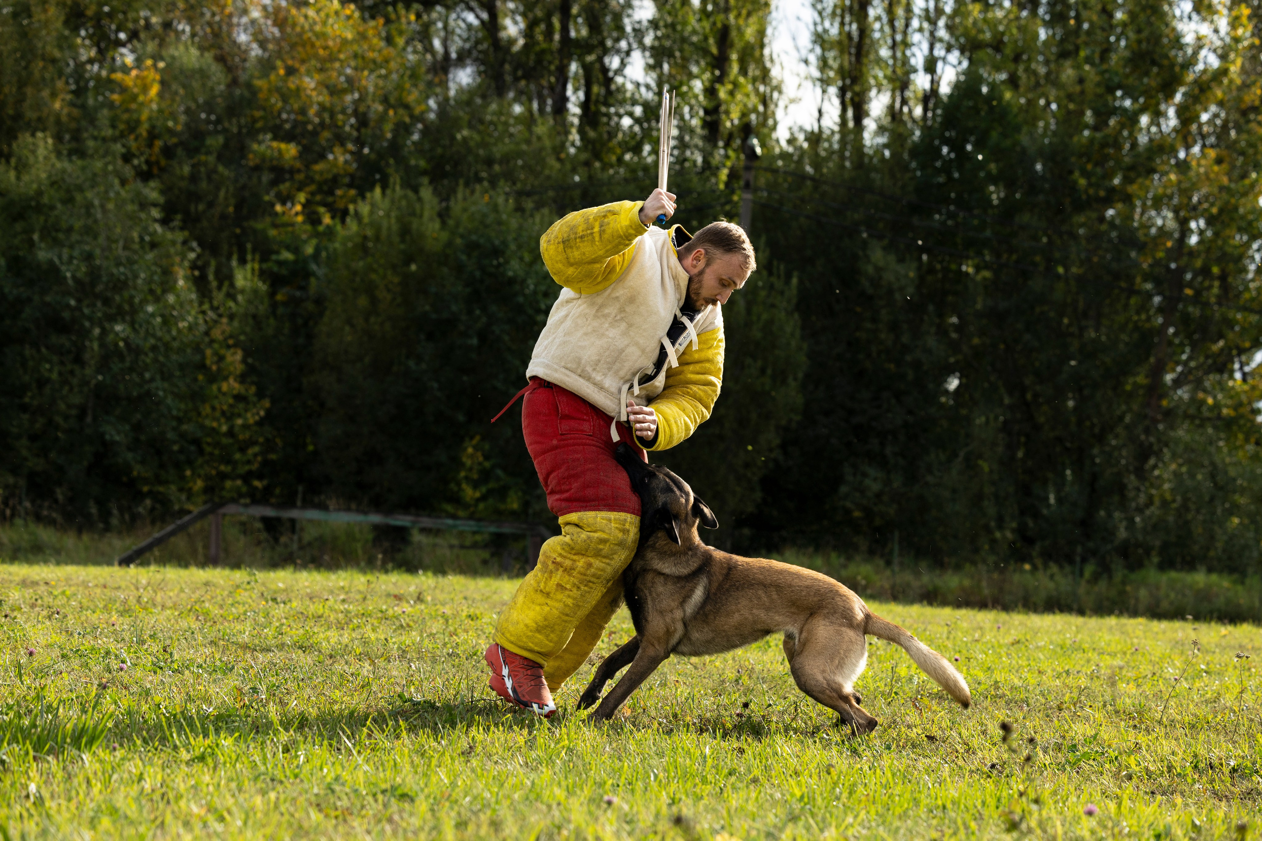 Испытания по Мондьорингу г. Пушкин. Фотограф-анималист Анна Маринич