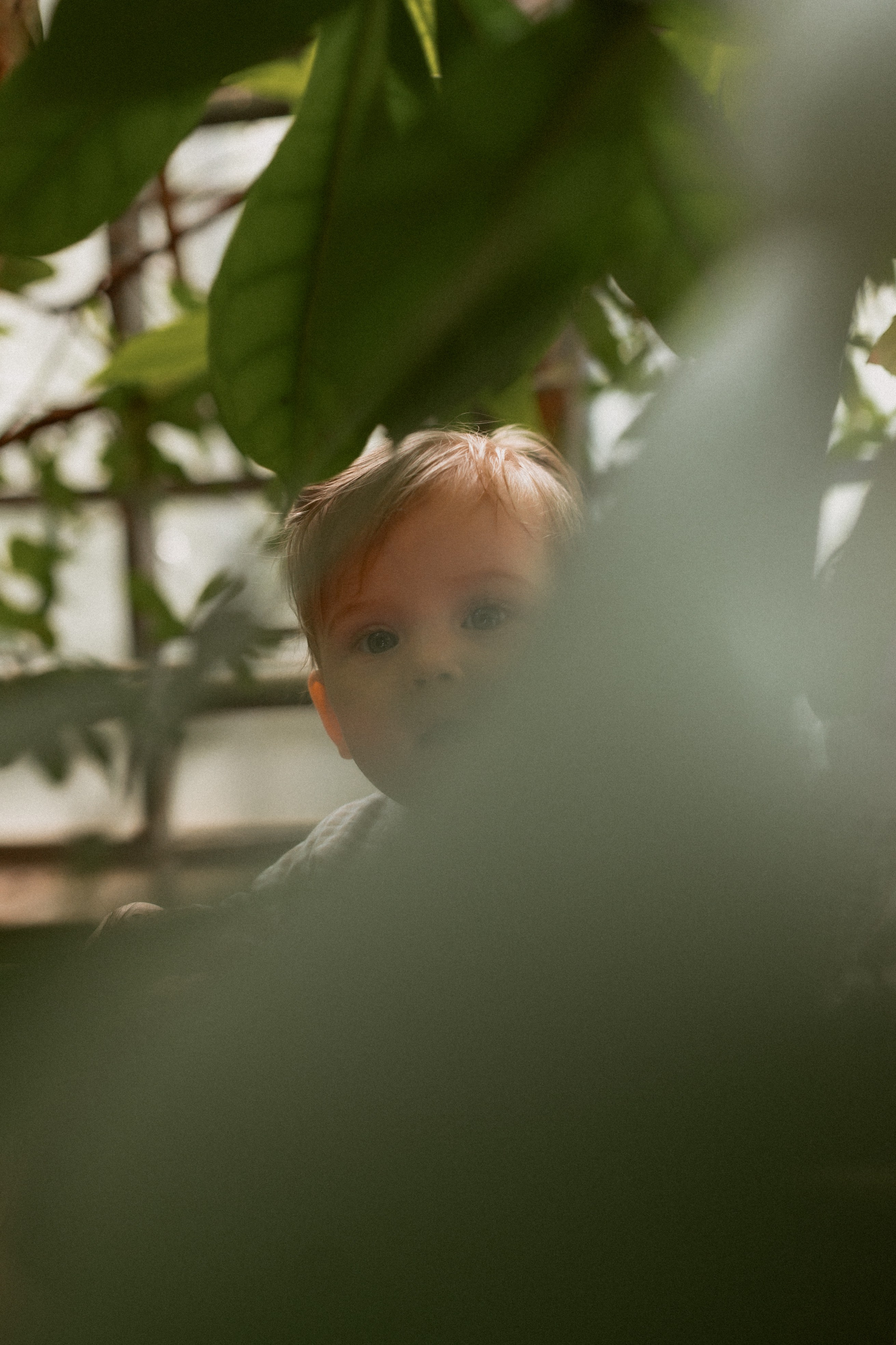 Илья, Ирина и Ева в Оранжерее. Семейный и свадебный lifestyle-фотограф в Москве Мария Петрова