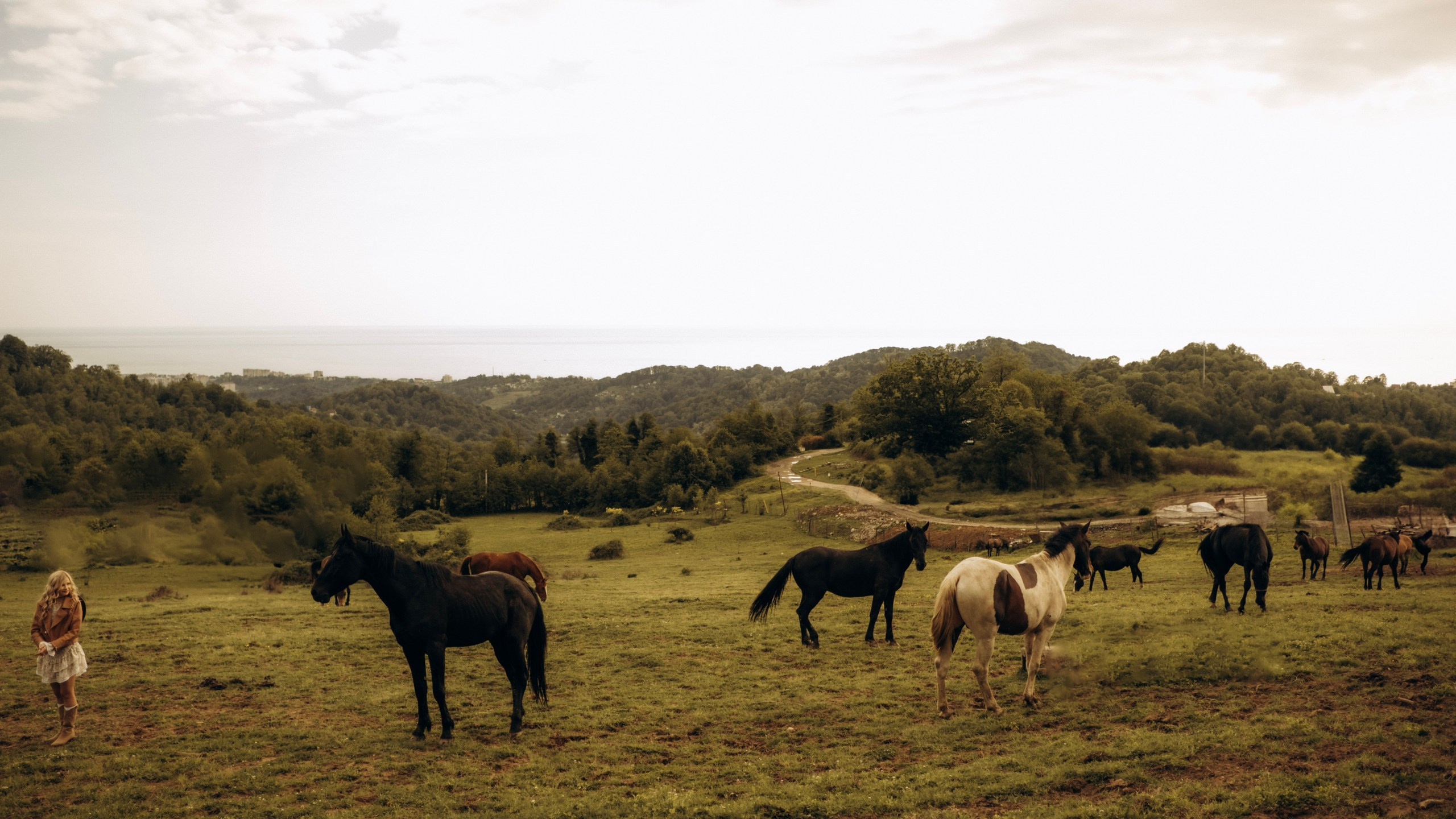 Конюшня. Главная