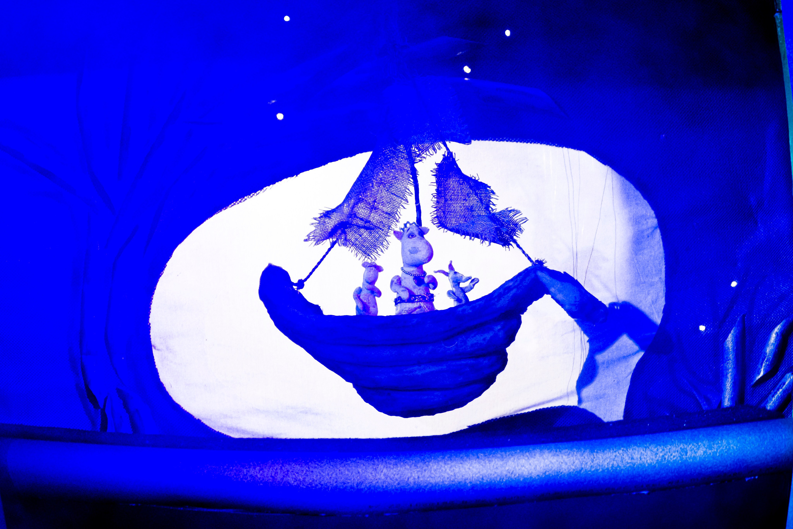 «Муми тролли и большое наводнение». Фотограф в Сочи Юрий Шептаев