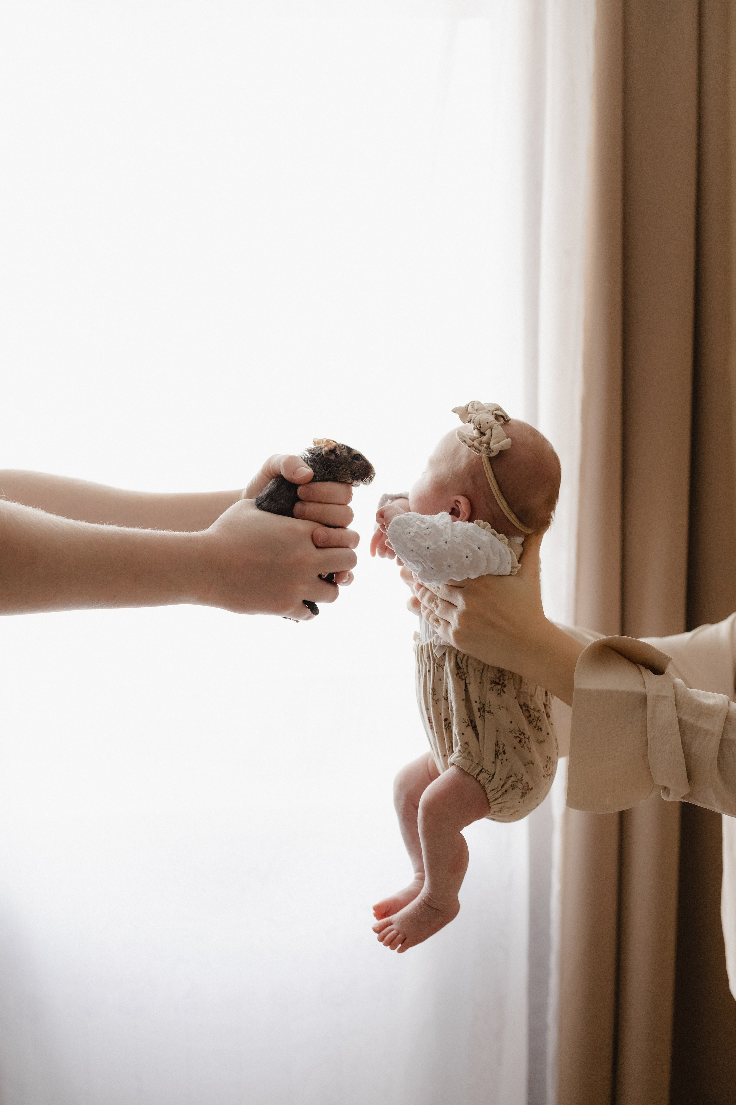 Варвара. Фотограф новорождённых Newborn Москва