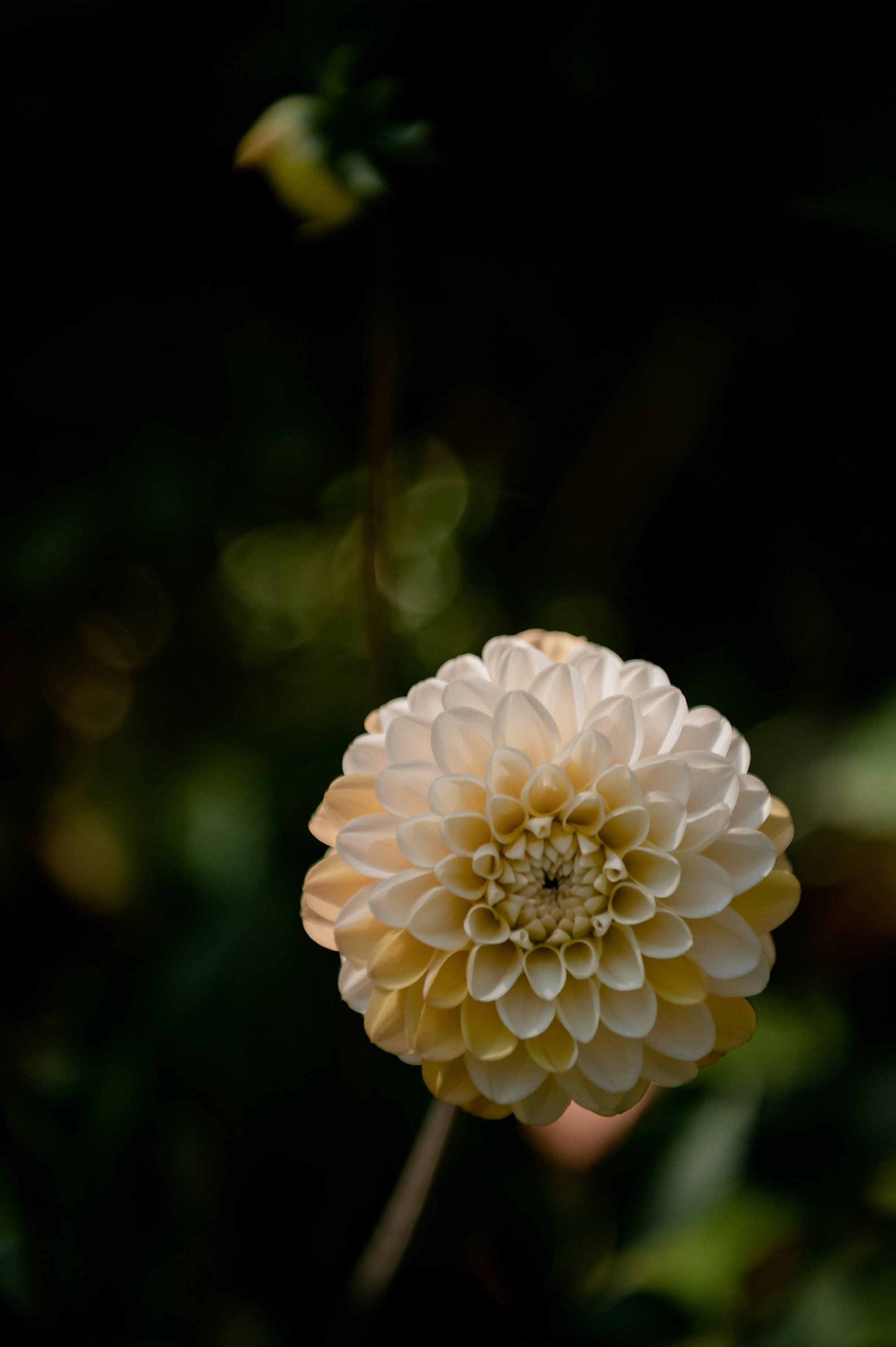 Степан и Виктория. Фотограф Анна Пятак