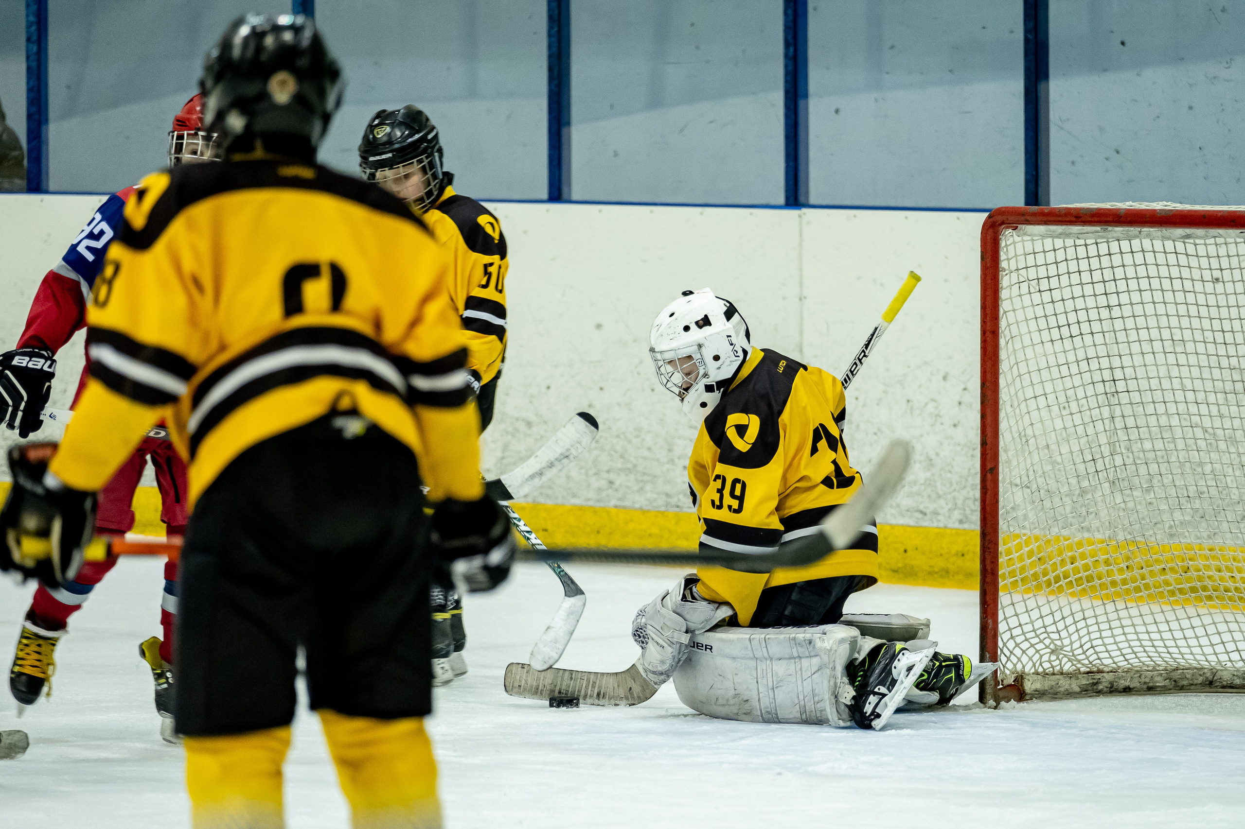 Спорт. Выпускные альбомы в Ярославле и Ярославской области Ярко Фото