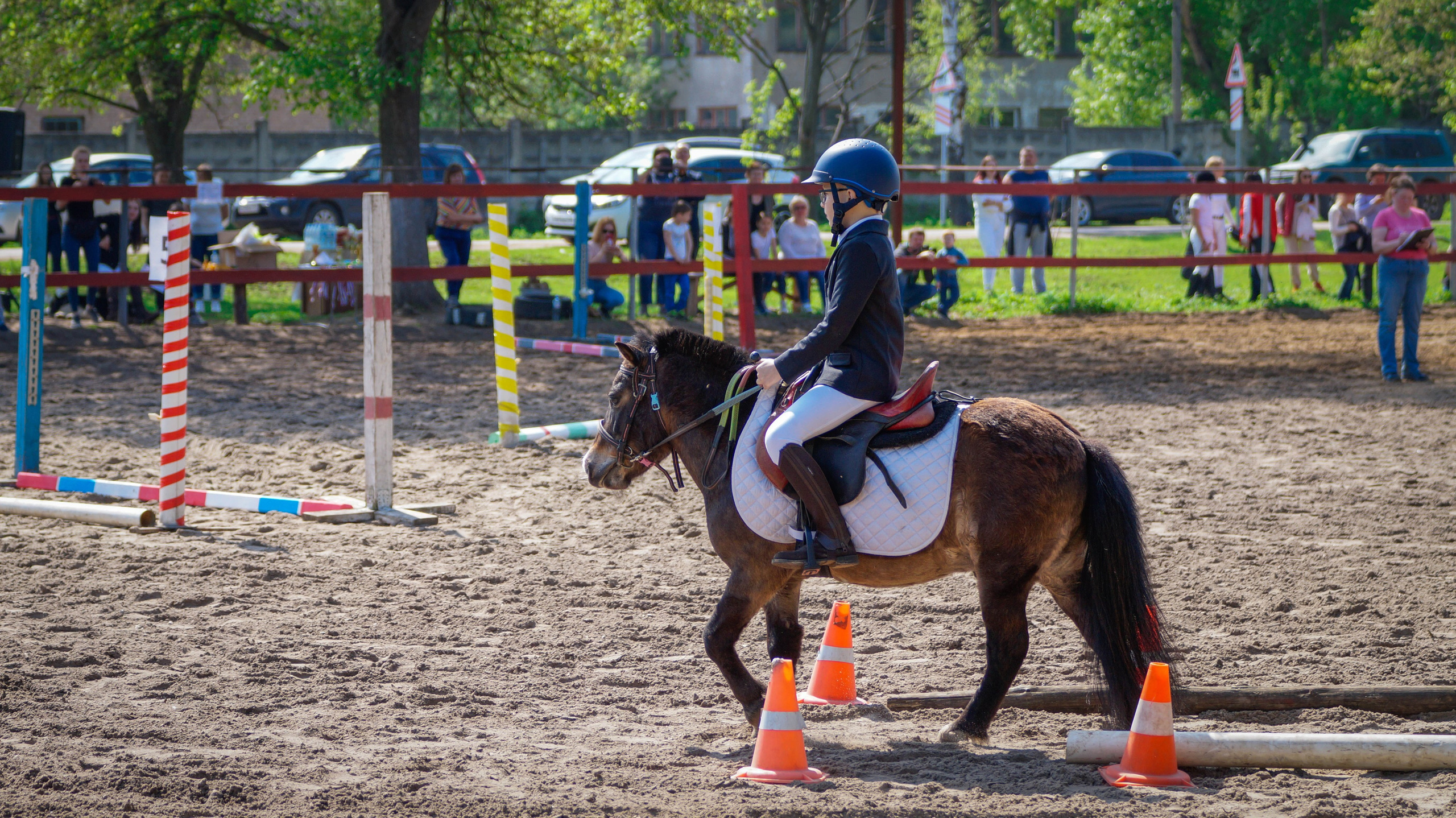 Соревнования. Фотосессии с лошадьми в Москве и МО