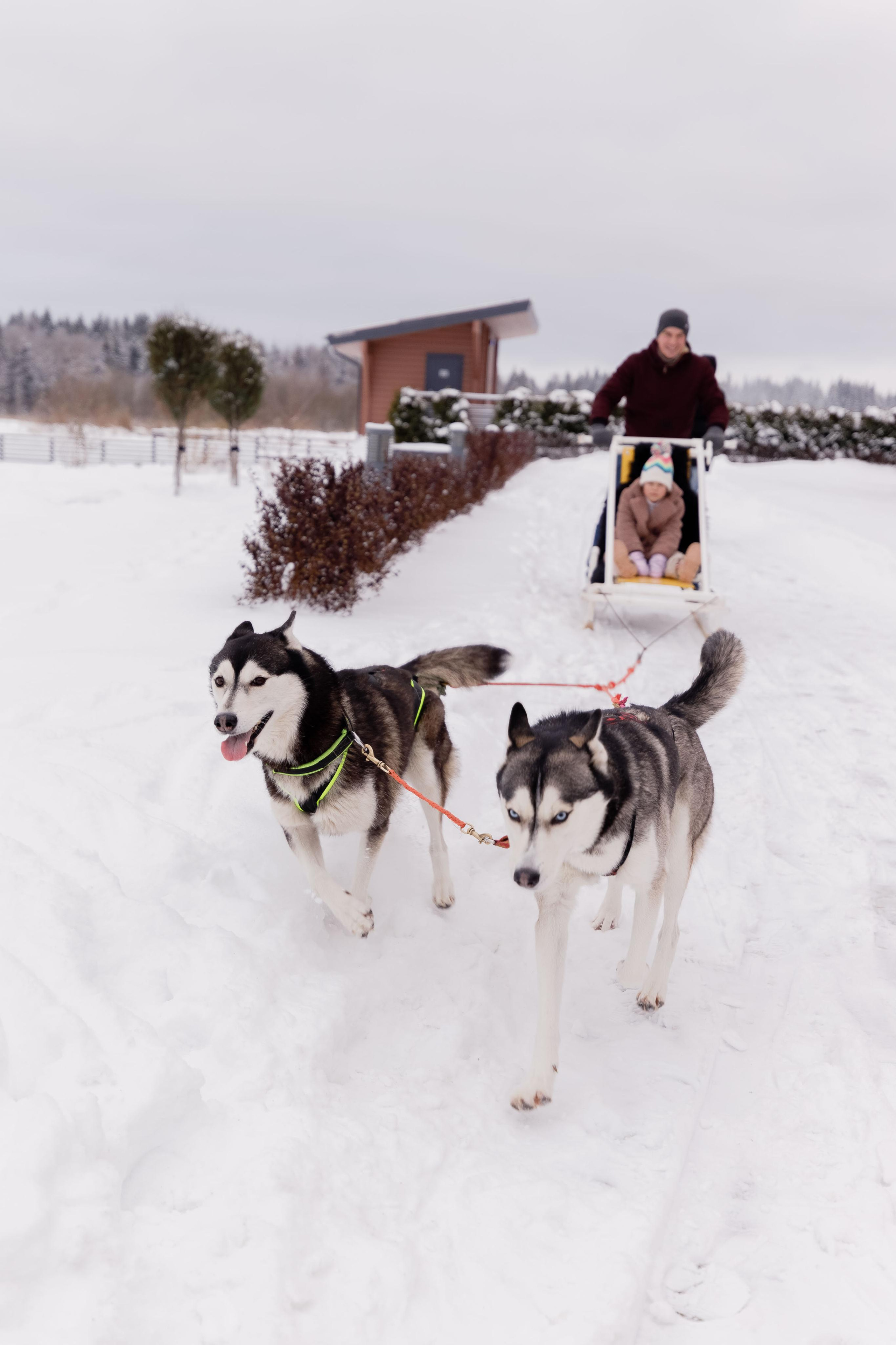 GORKI Golf & Resort. Главная