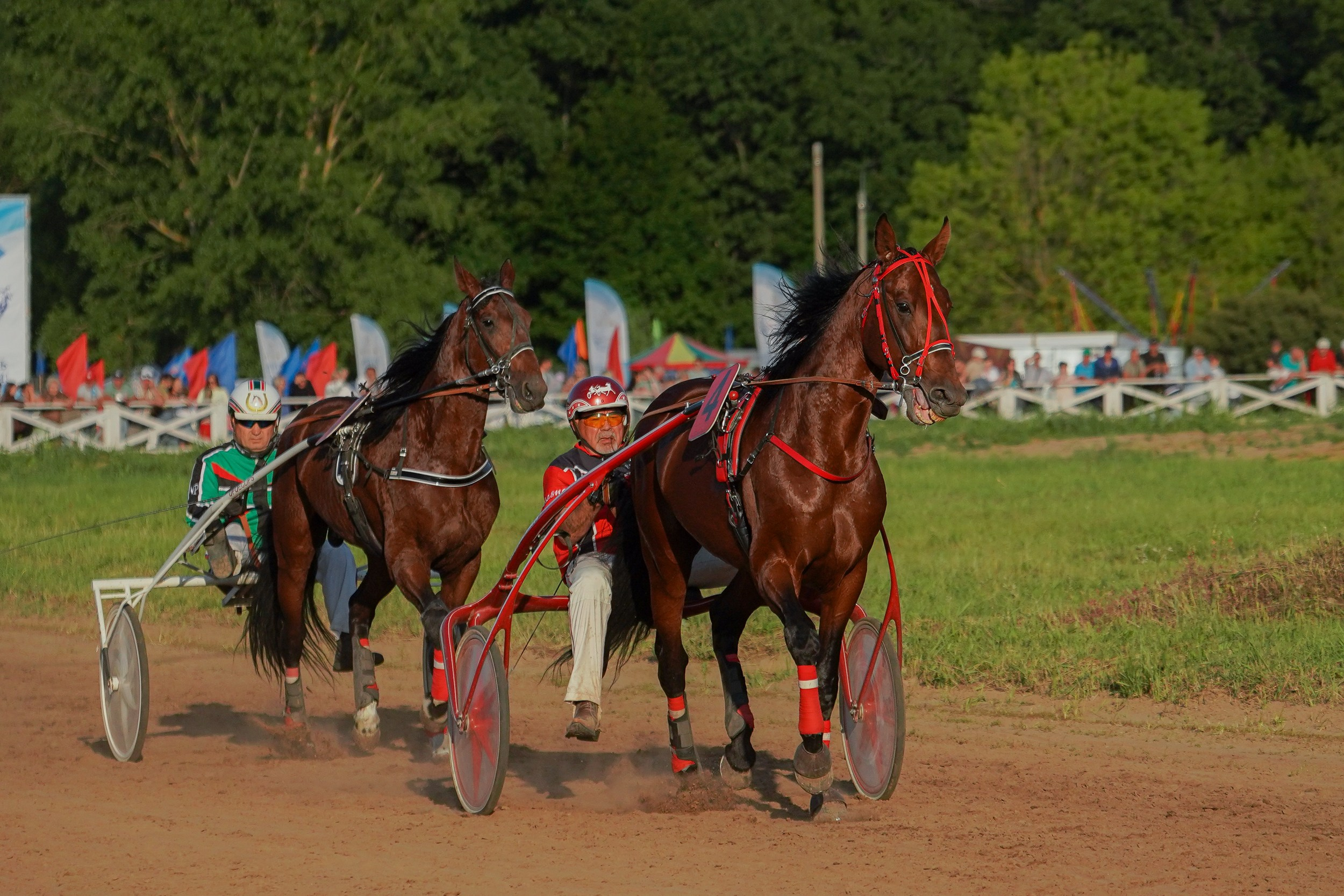 III конные бега на Кубок Главы Чувашии. Фотограф-анималист, портретный фотограф в Чебоксарах Мария Садыкова