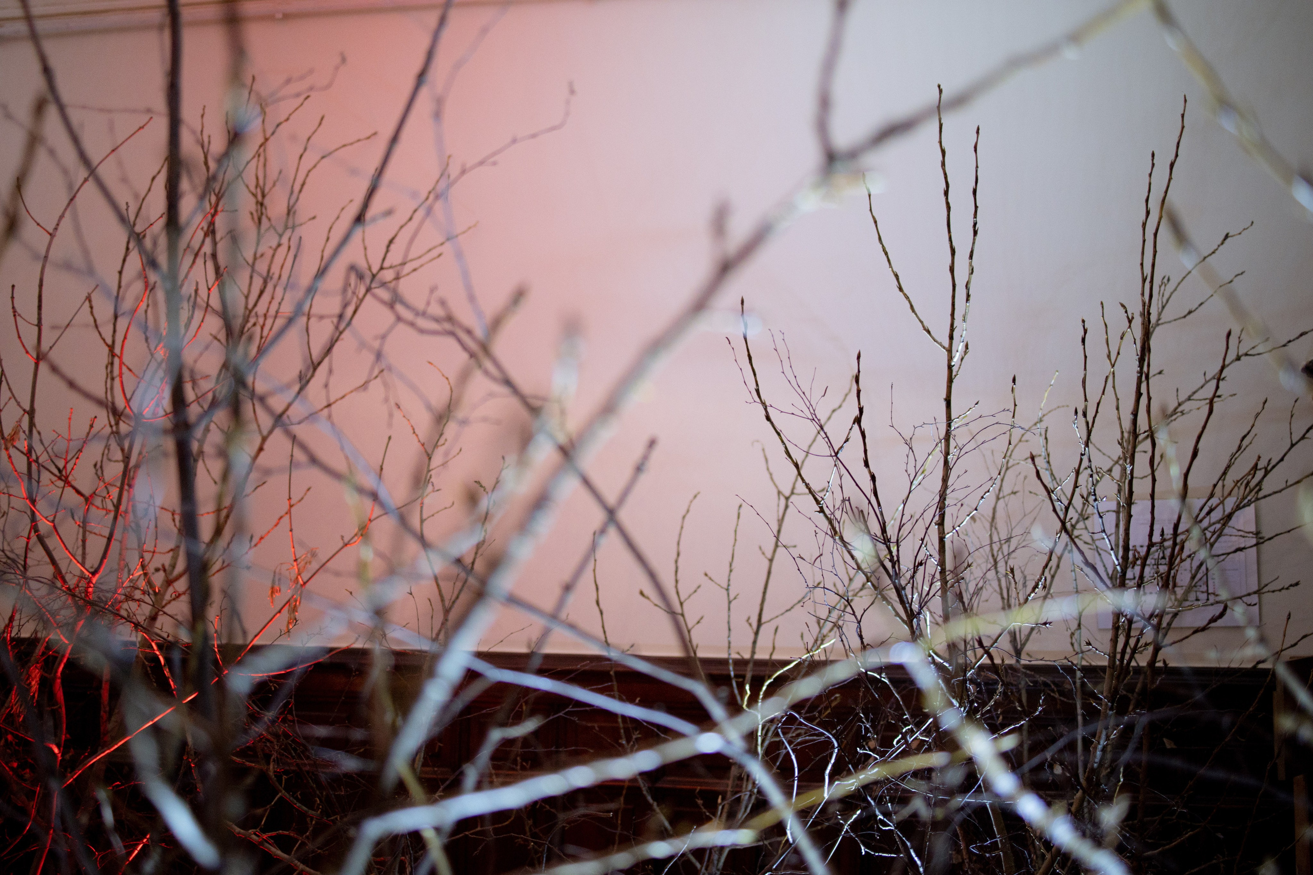 Новогодний корпоратив в фольклорном стиле. Особняк Лемана. Оформление свадеб, декор свадеб Вера Маркова, Москва