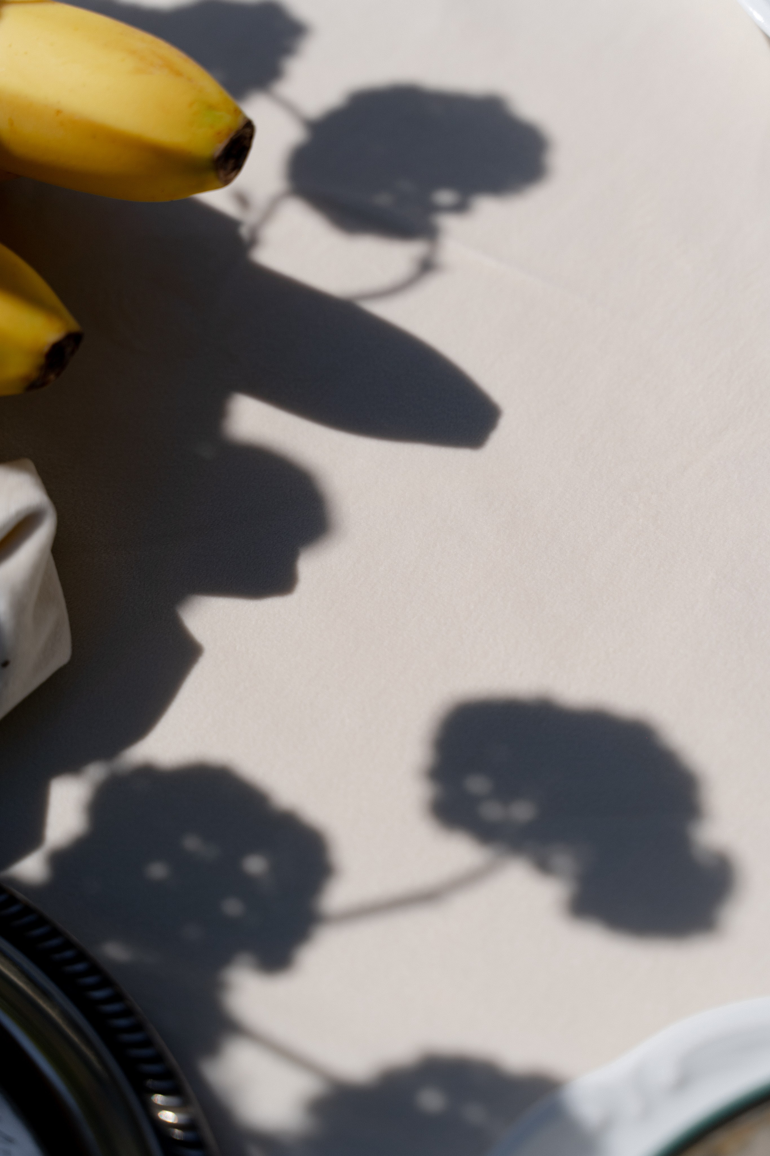 тени снятые на свадьбе в Геленджике