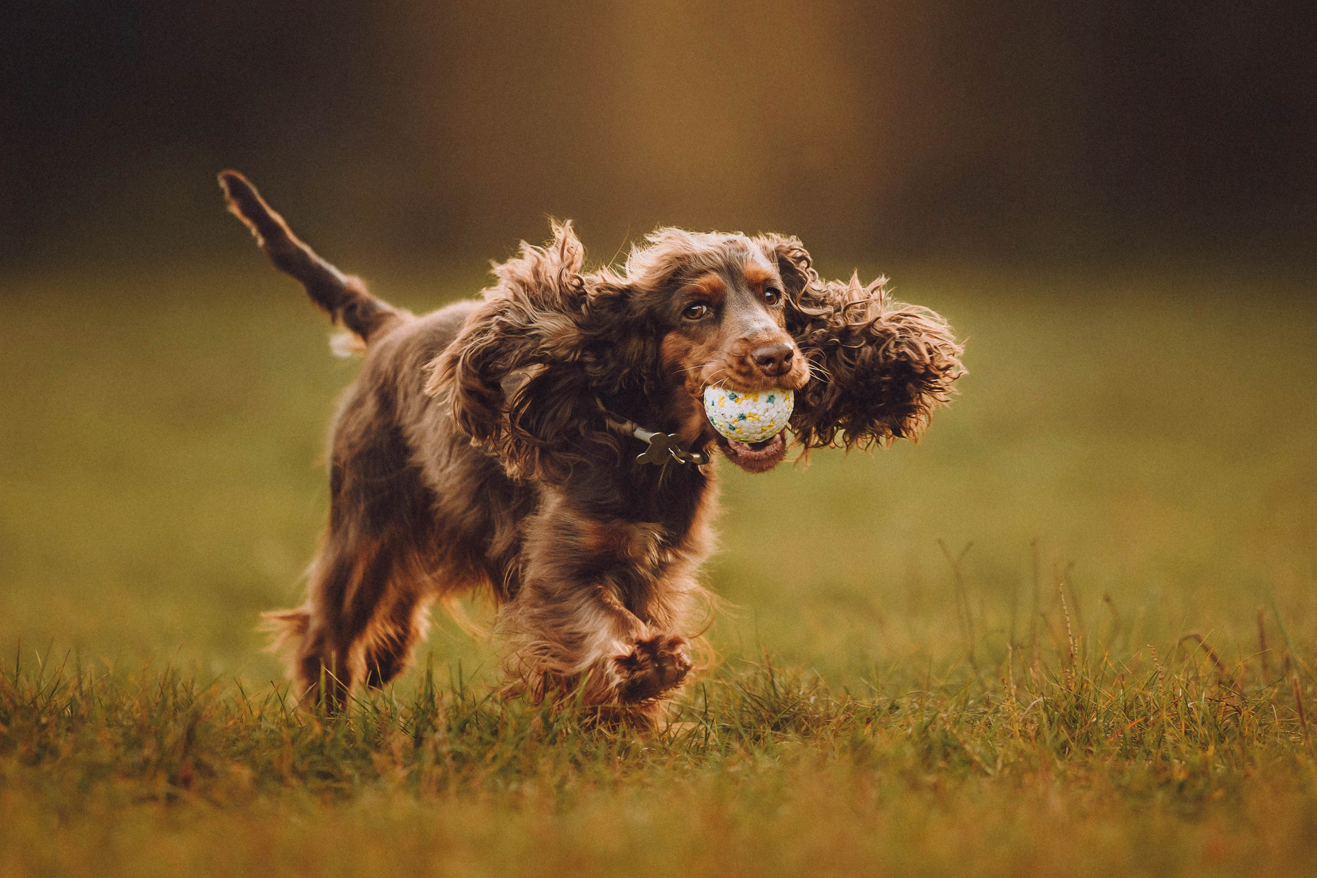 Настя, Саша и Эстер