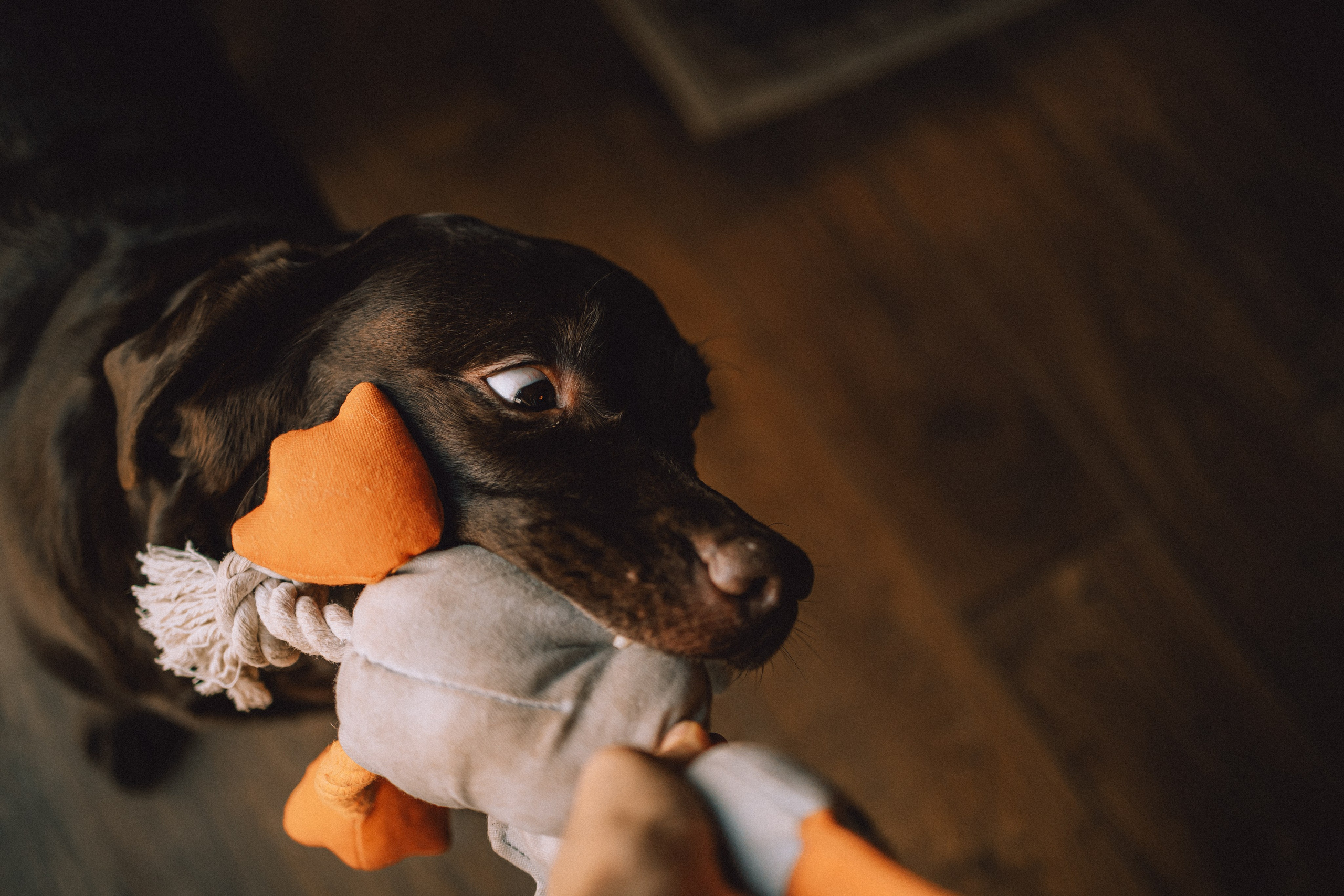 Ума, Берта и их семья