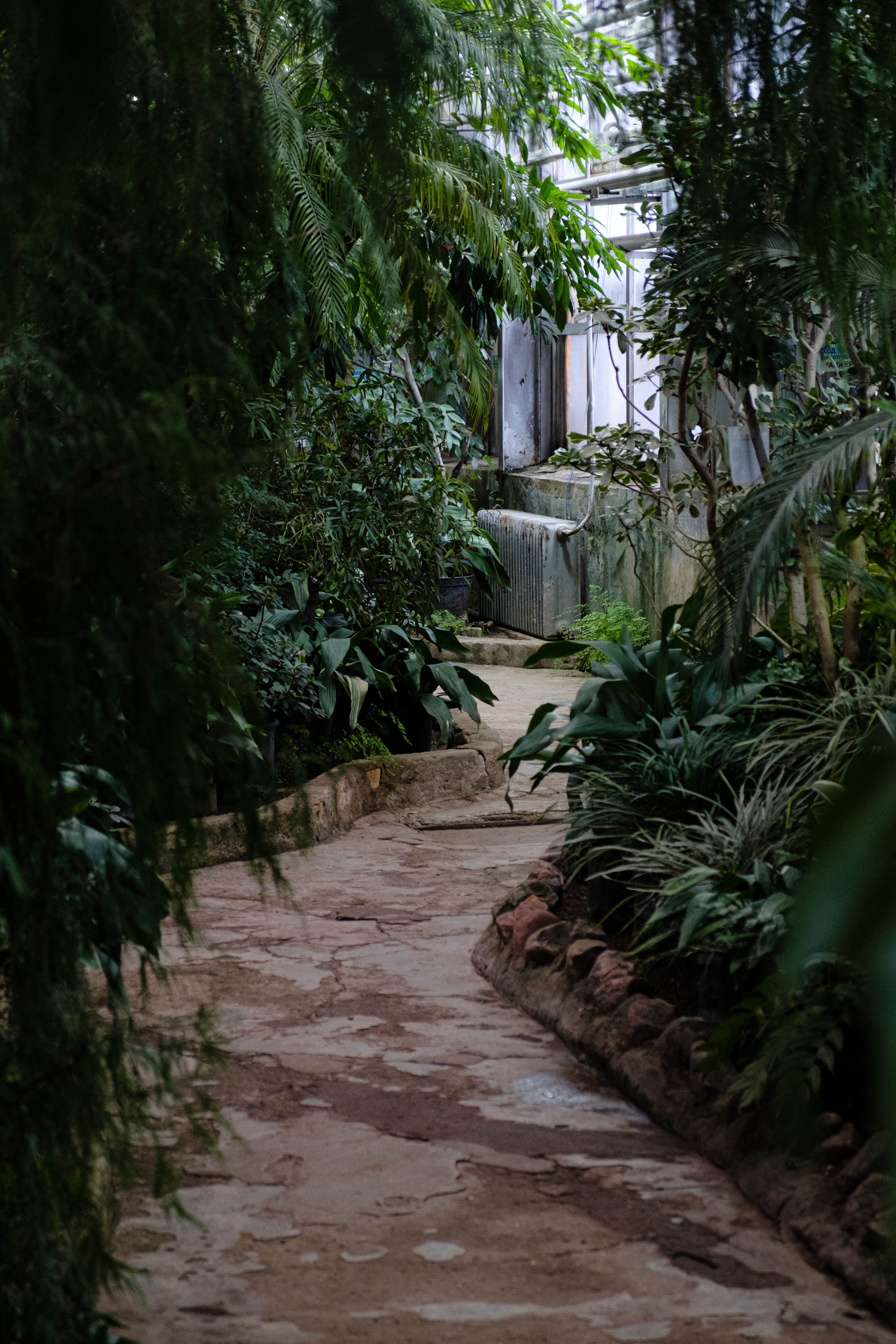 Старая Фондовая оранжерея. Алексей Никифоров свадебный и семейный фотограф Москва, Химки