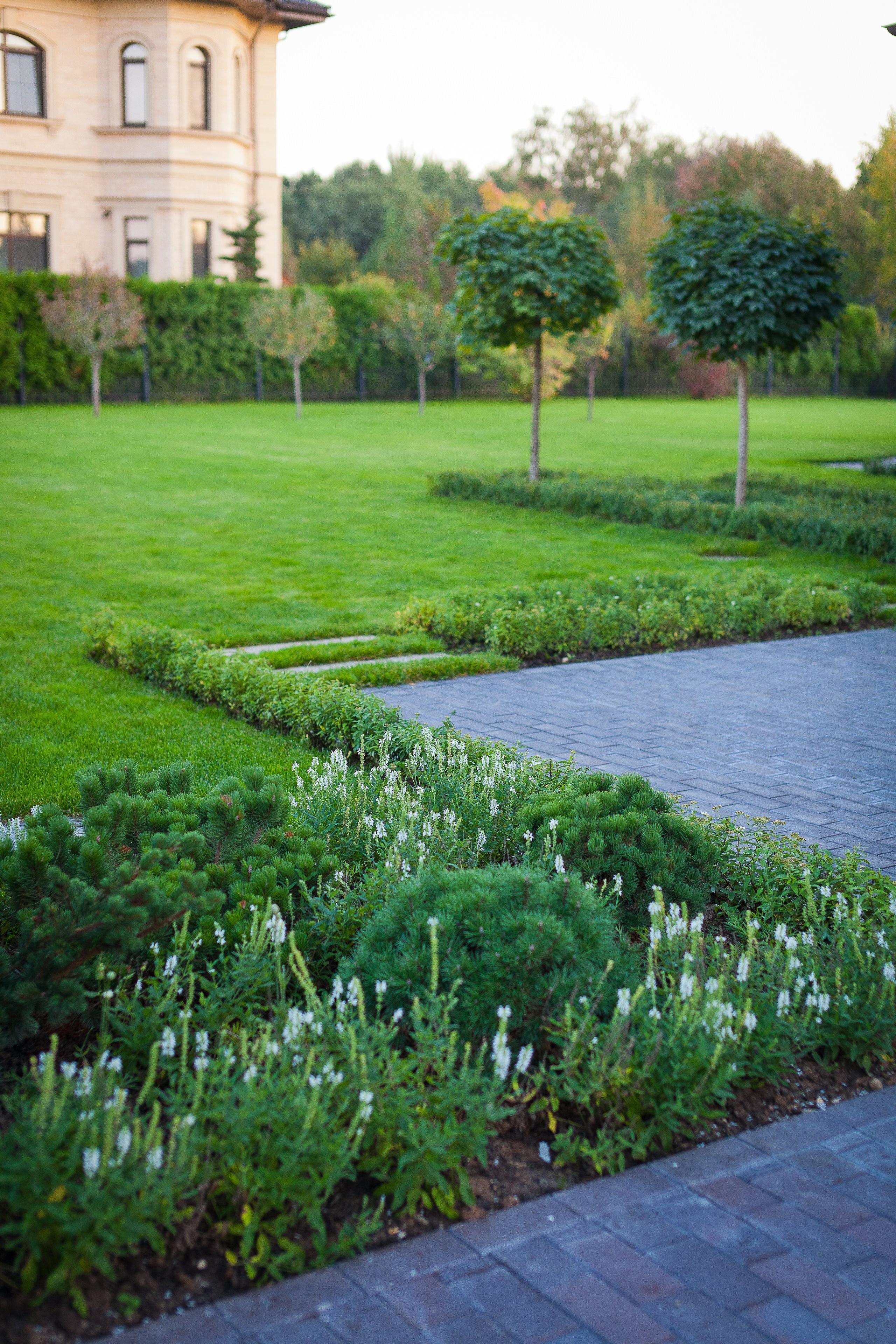 Ландшафт. Новый год 2026