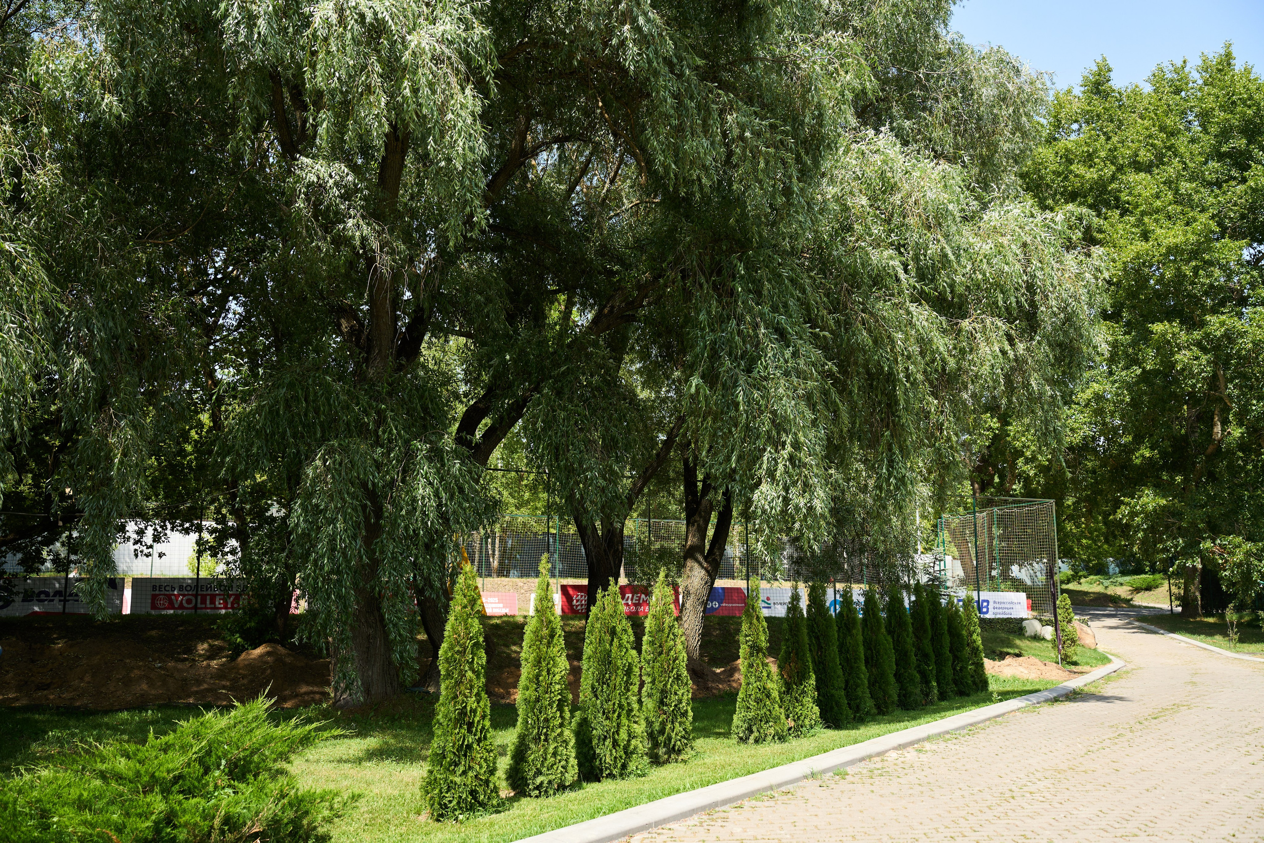 All-hands Третье Мнение 2025. Елизавета Мальгина, фотограф в Москве