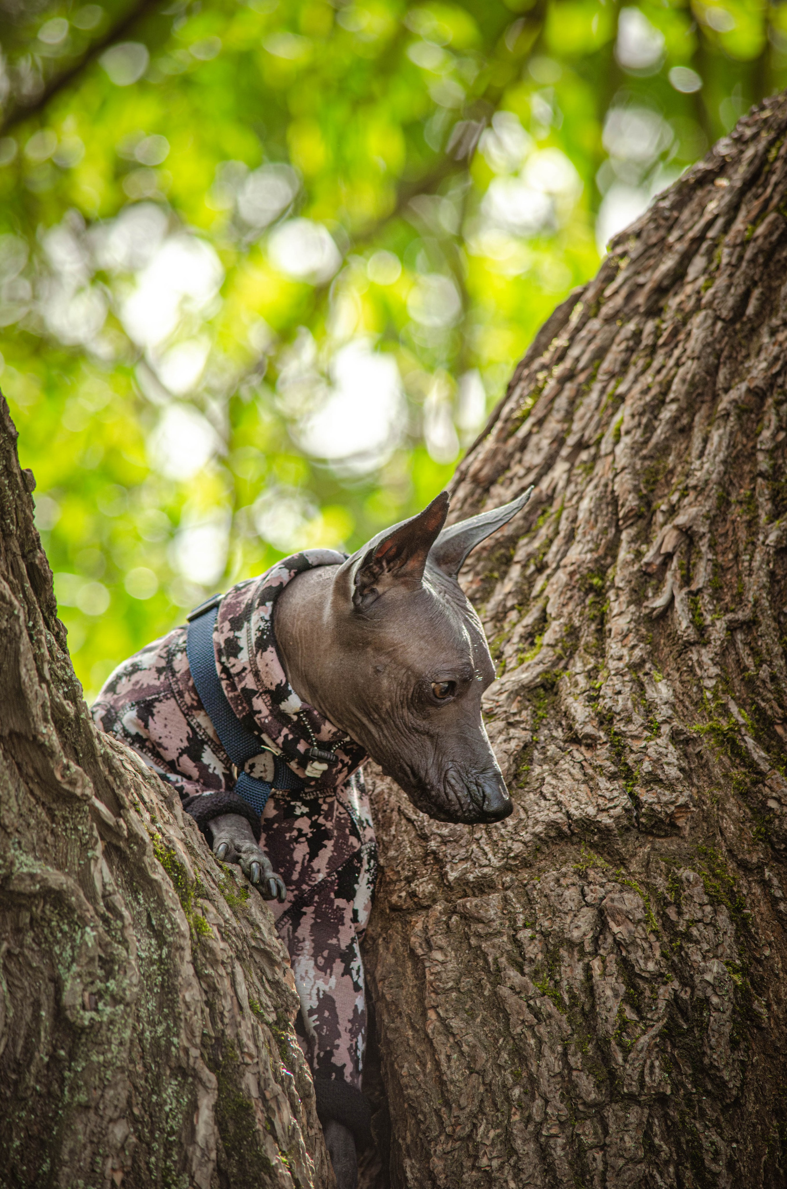 Сёма. Фотограф Светлана Блинова, Москва и Московская область