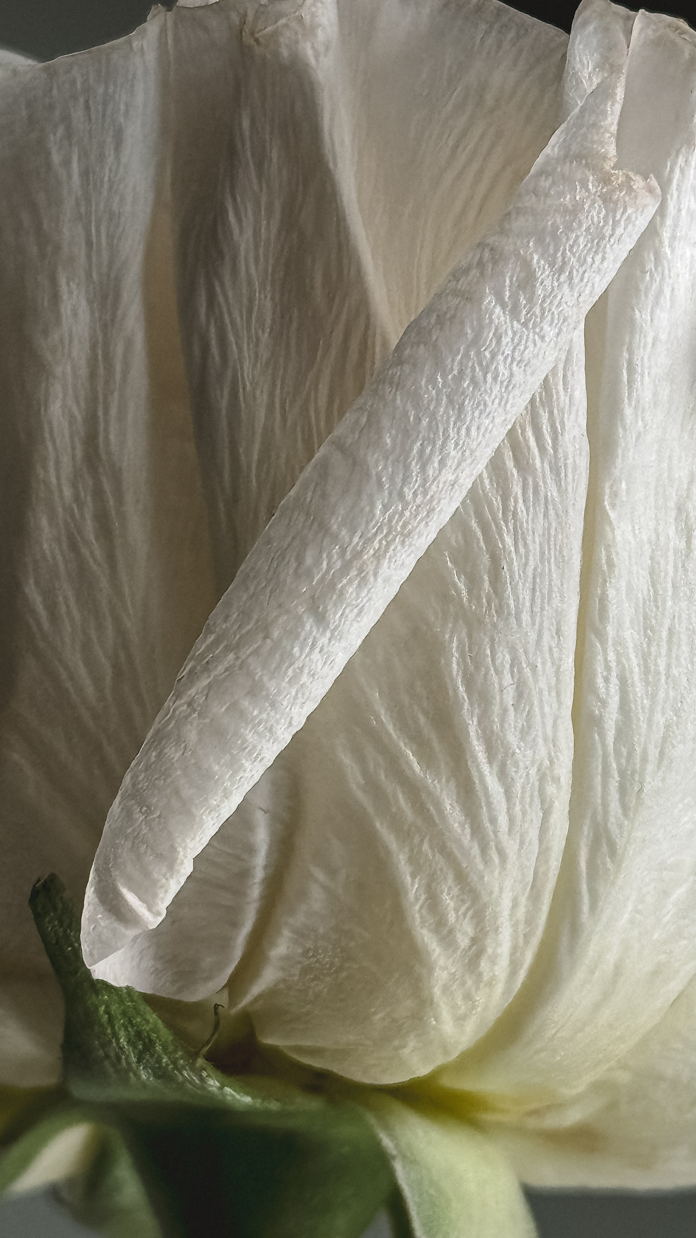 Все вокруг. Фотограф в Санкт-Петербурге / Красноярске Надежда Самошкина