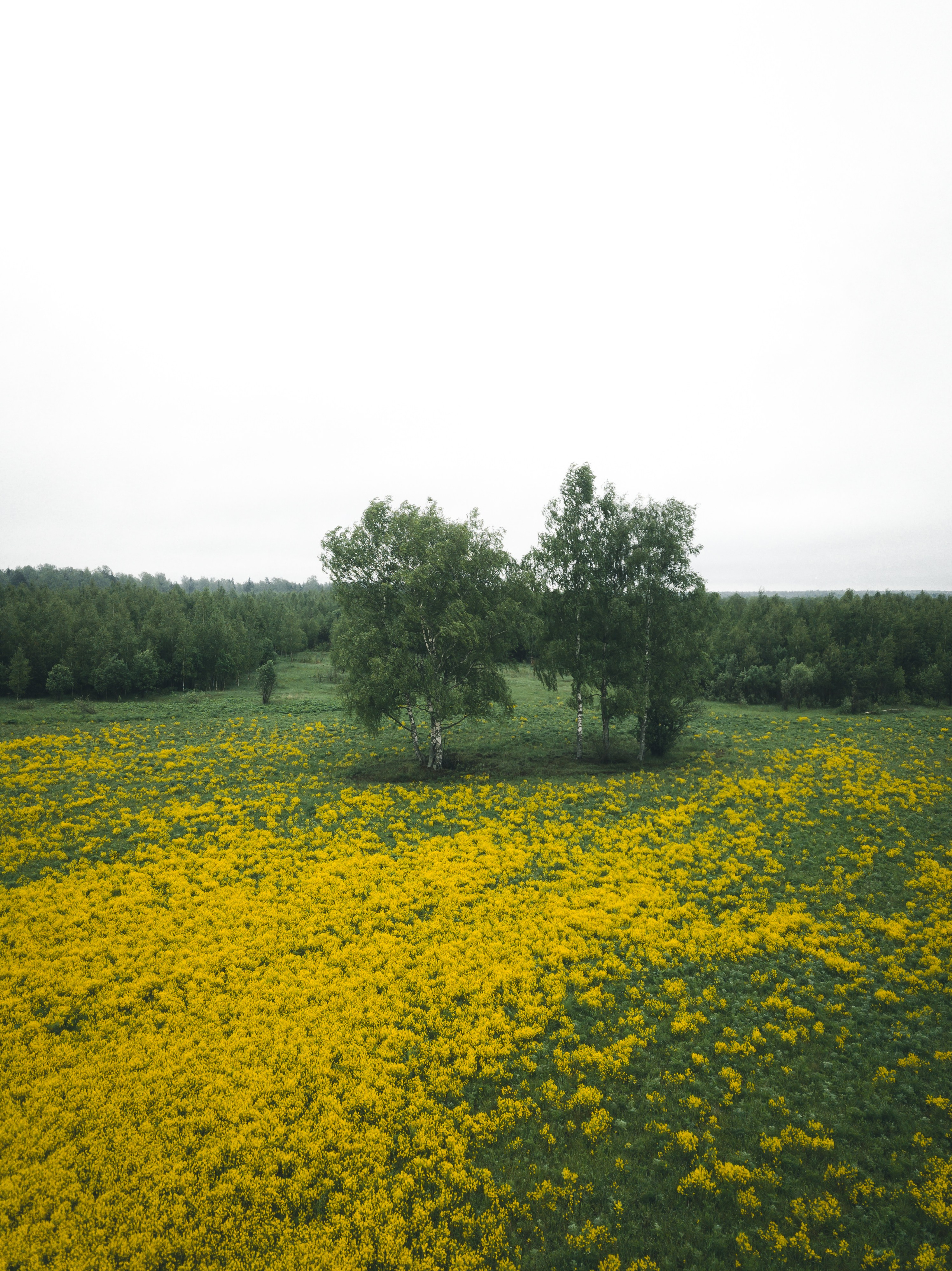 ПРИРОДА. Фотограф Александр Бормотин