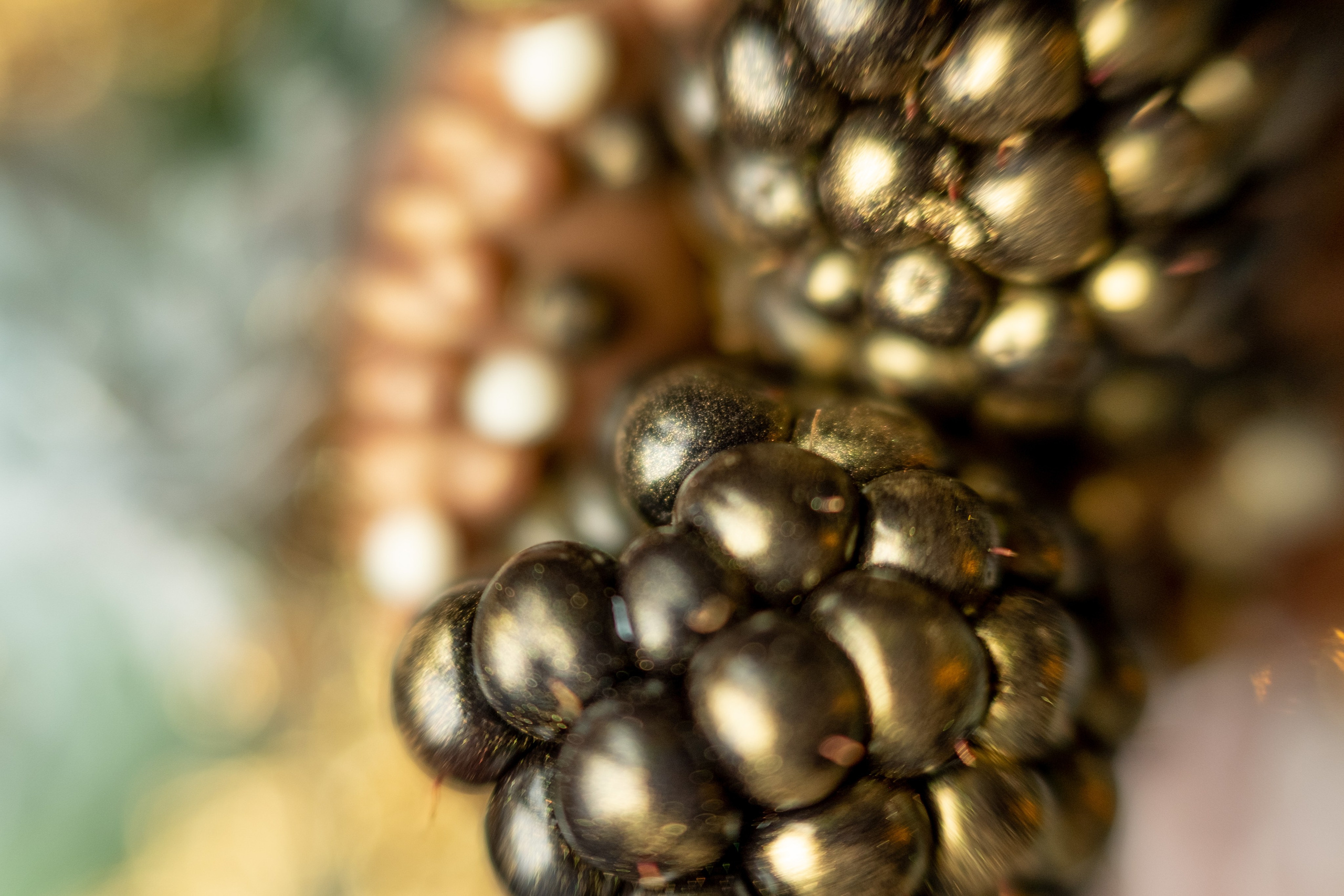 Съемка конфет ручной работы для Озон в Санкт-Петербурге. Фотосессия для маркетплейсов