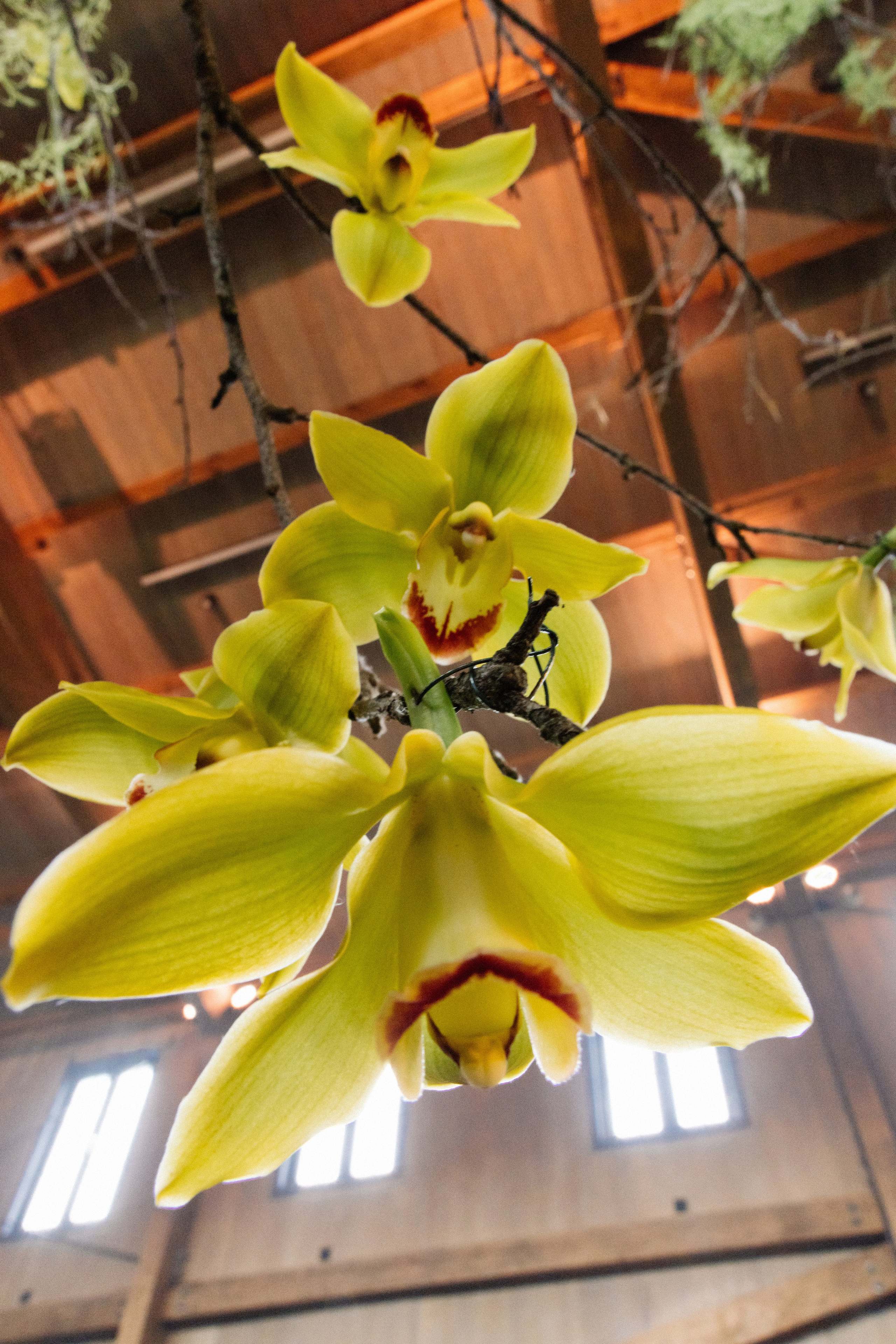 @avtors.agency. Свадебный и репортажный фотограф в Москве Владимир Сергеев | Naysaikolo