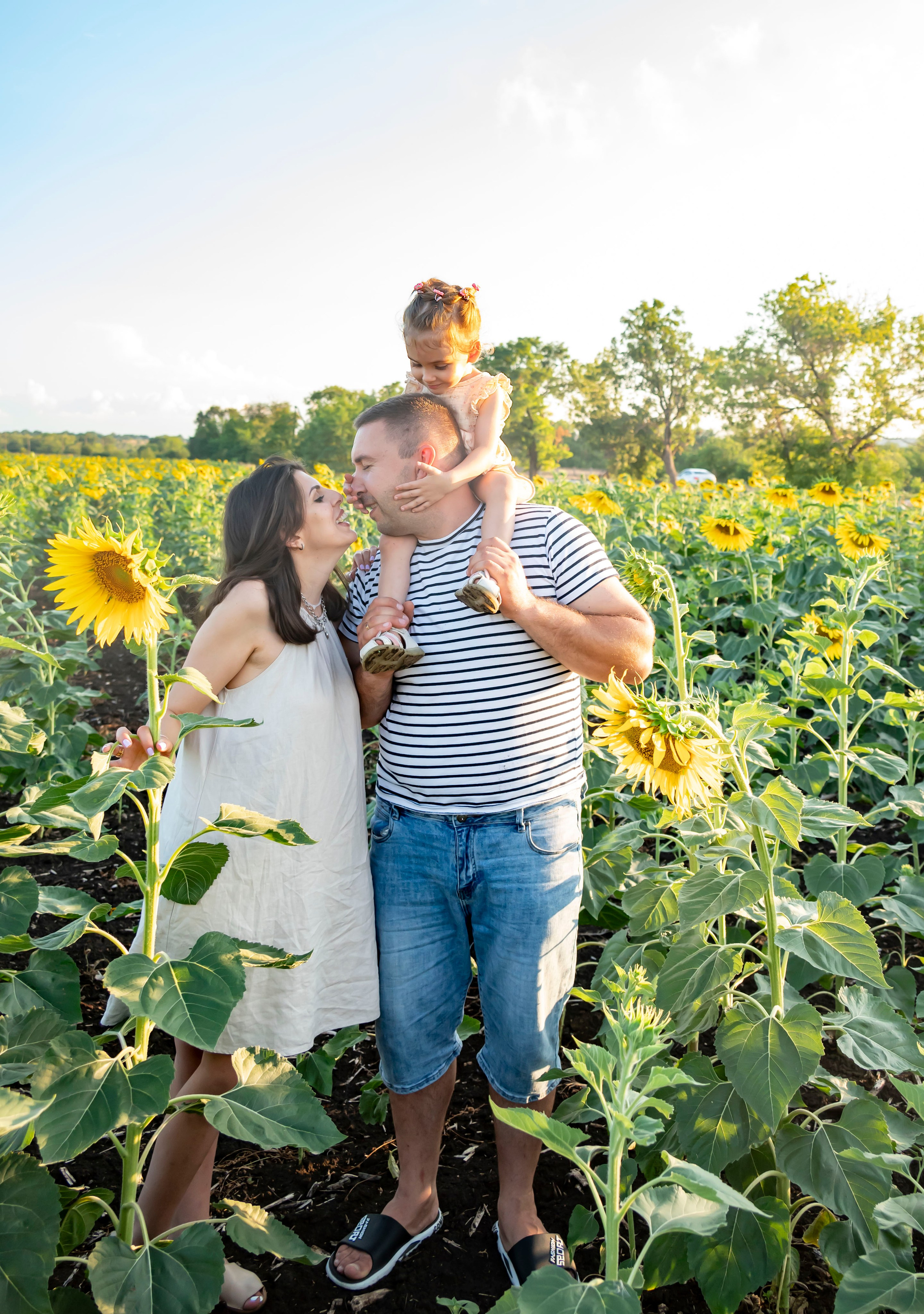 Летняя прогулка. Главная