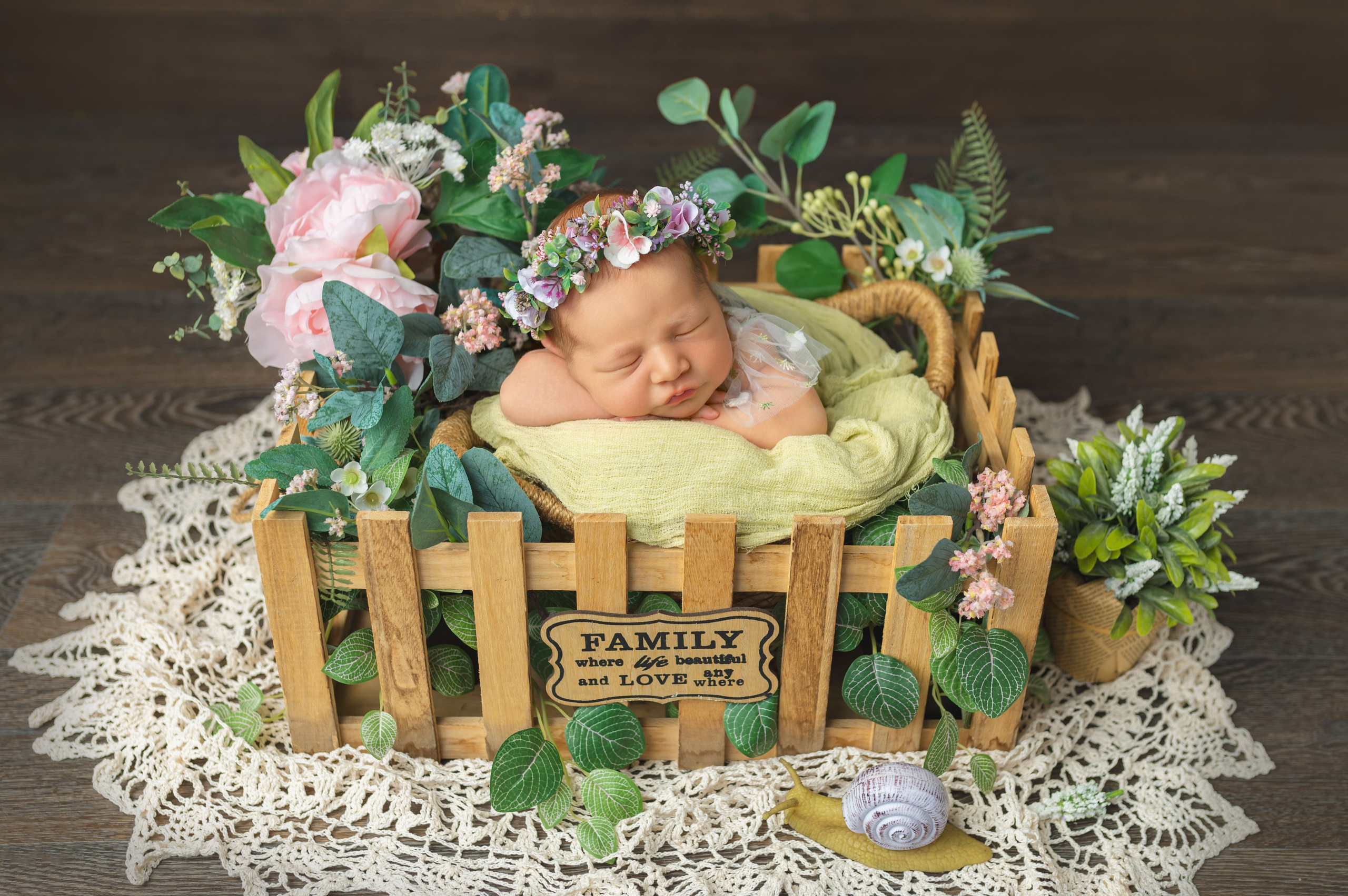 Новорожденные девочки. Детский фотограф в городе Жуковский Алиса Коробанова