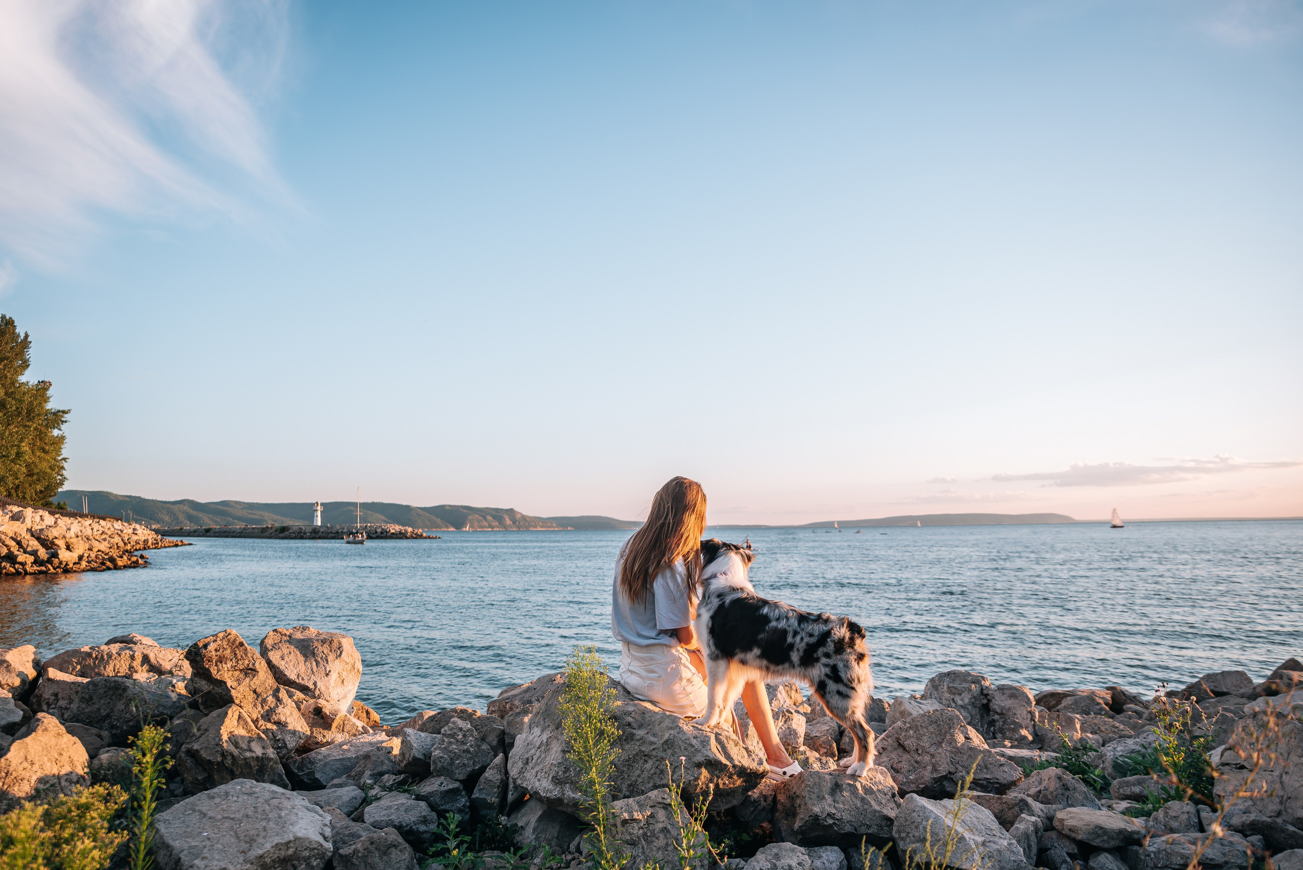 No Bad Days. Главная