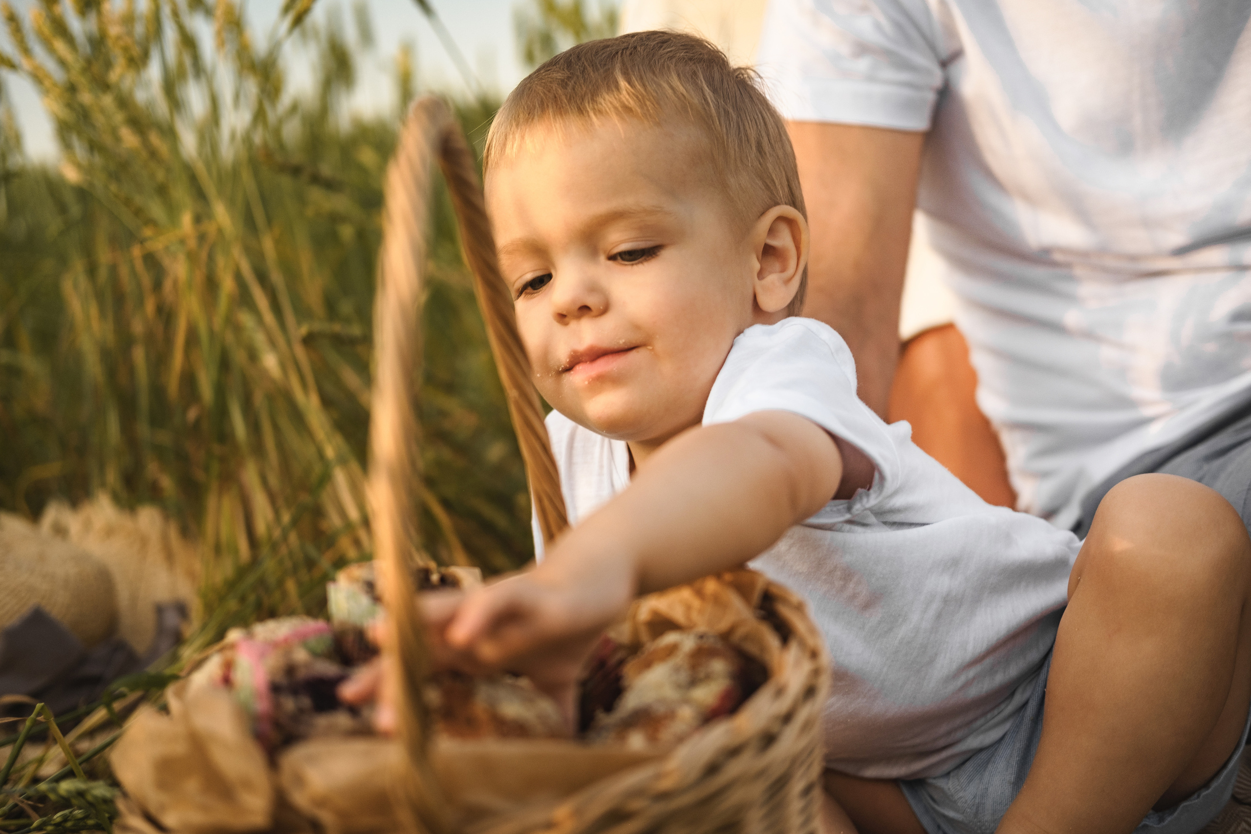 Сава в поле). Свадебный и семейный фотограф в Новосибирске, Санкт-Петербурге, Москве