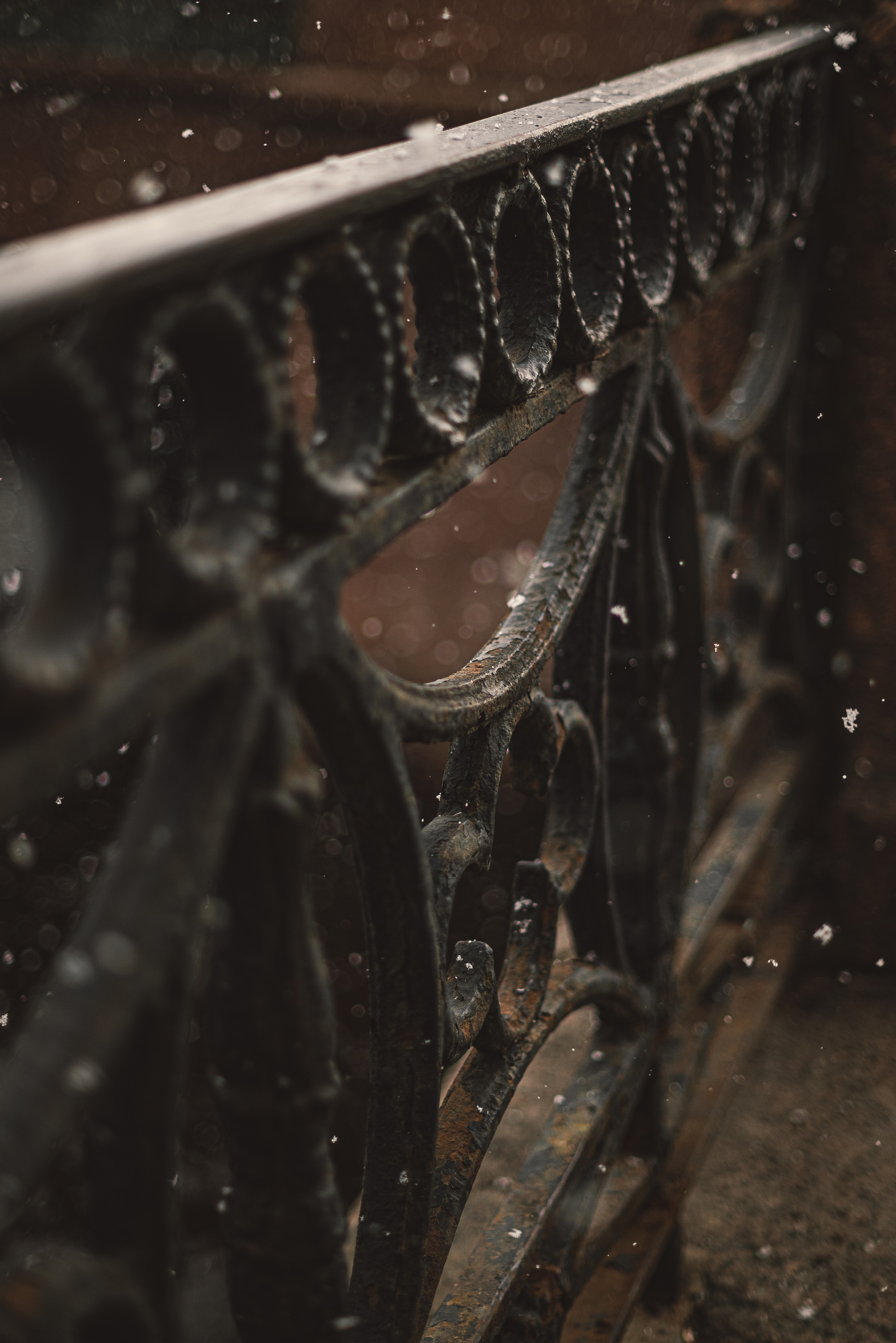 В Петербурге. Свадебный и семейный фотограф в Новосибирске, Санкт-Петербурге, Москве