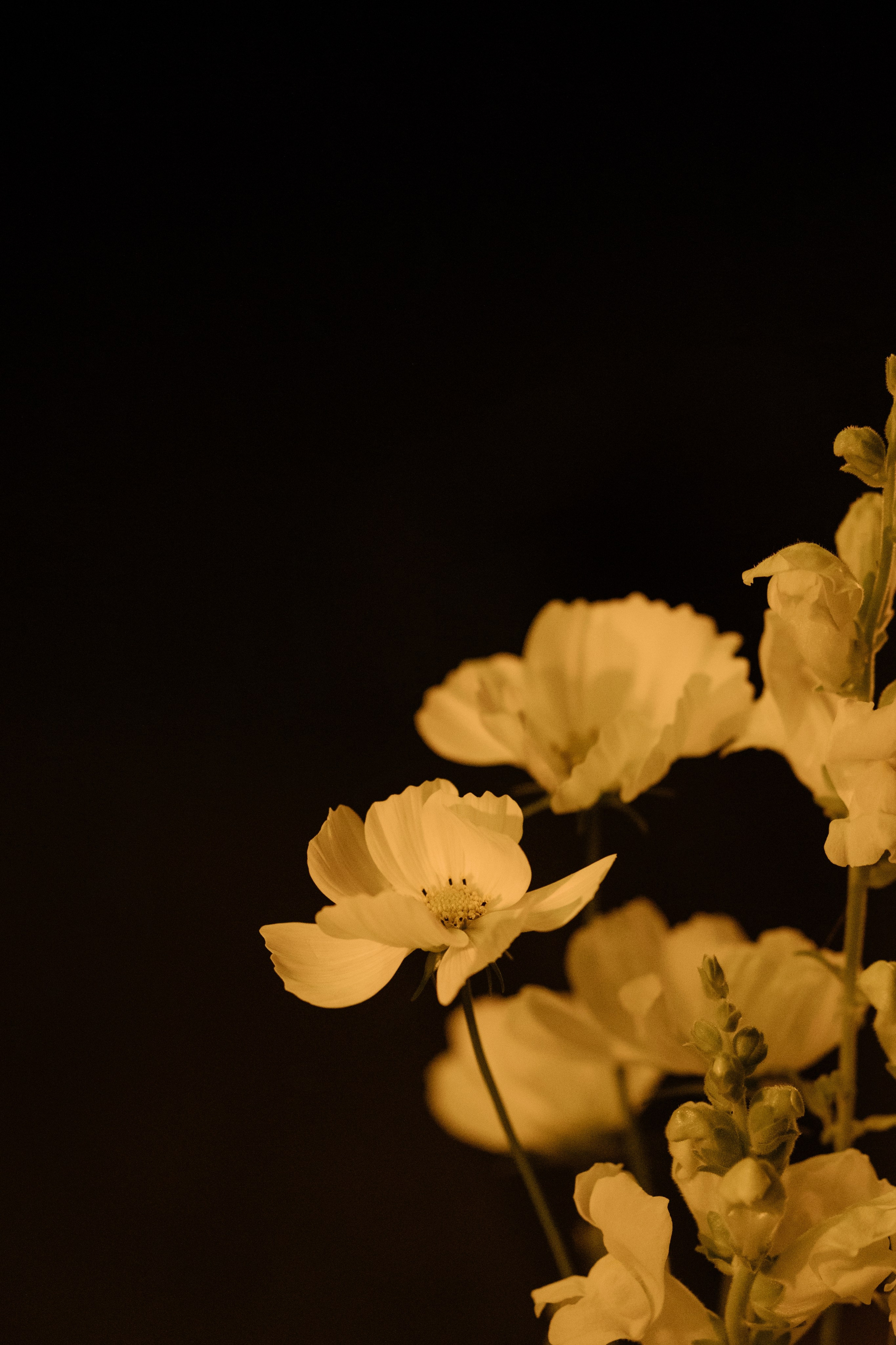 Коля и Олеся | 30.08. Портретный и свадебный фотограф в Москве Алина Гевал