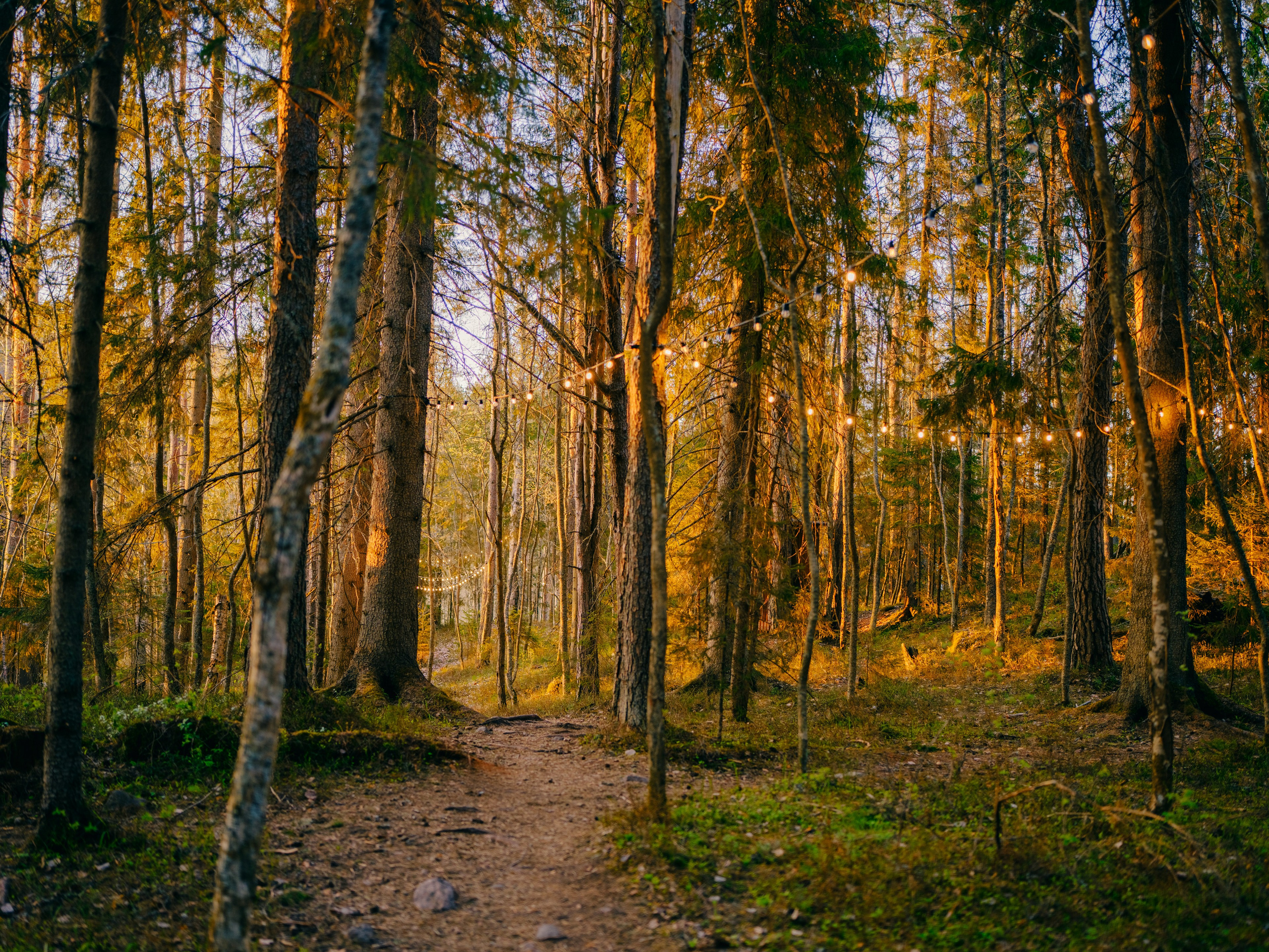 Глэмпинг в Карелии Villy Uley. Асхат Бардынов