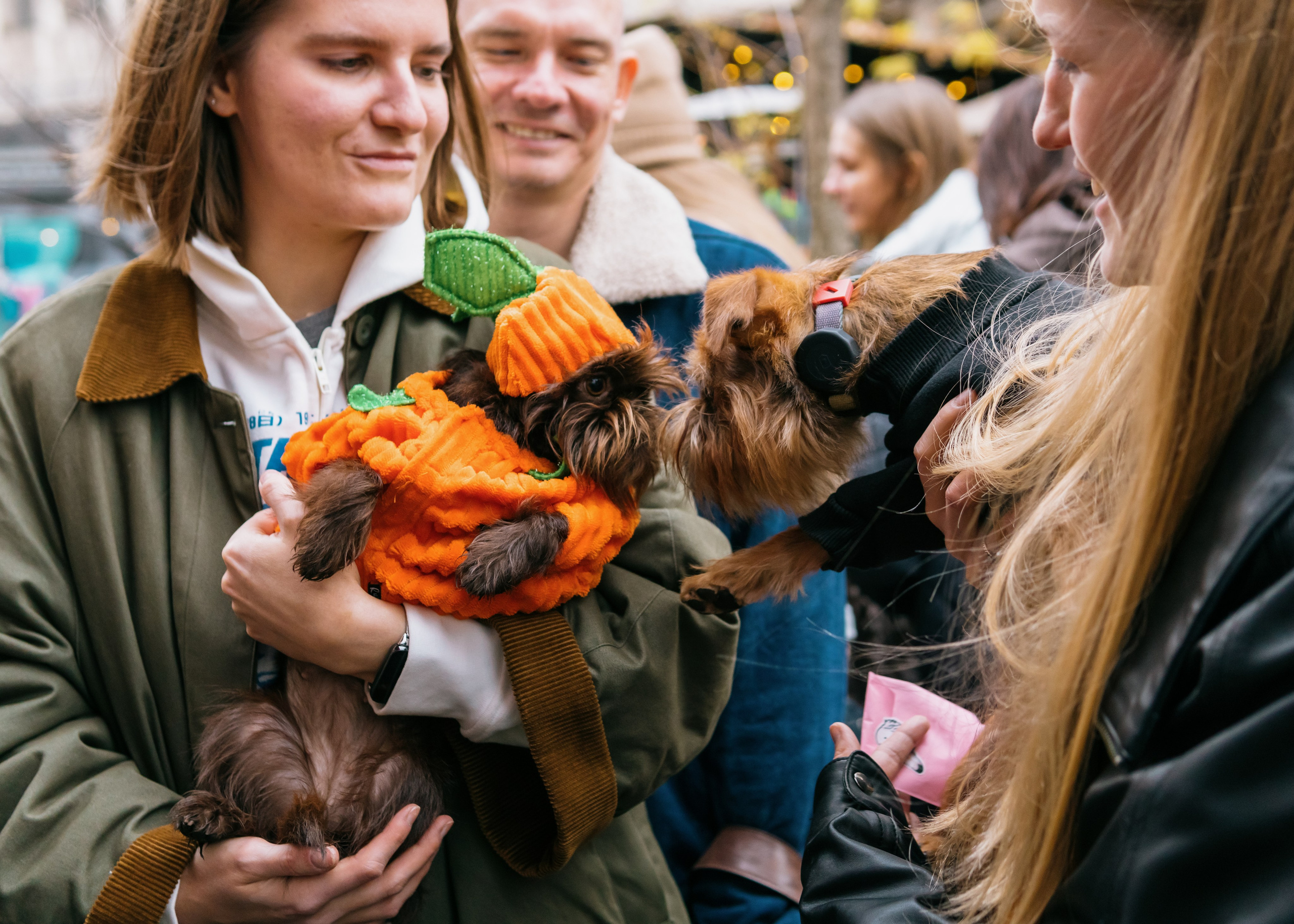 Тематическая встреча породников «Griffween». Фотограф-анималист Ксения Воробьева, Москва