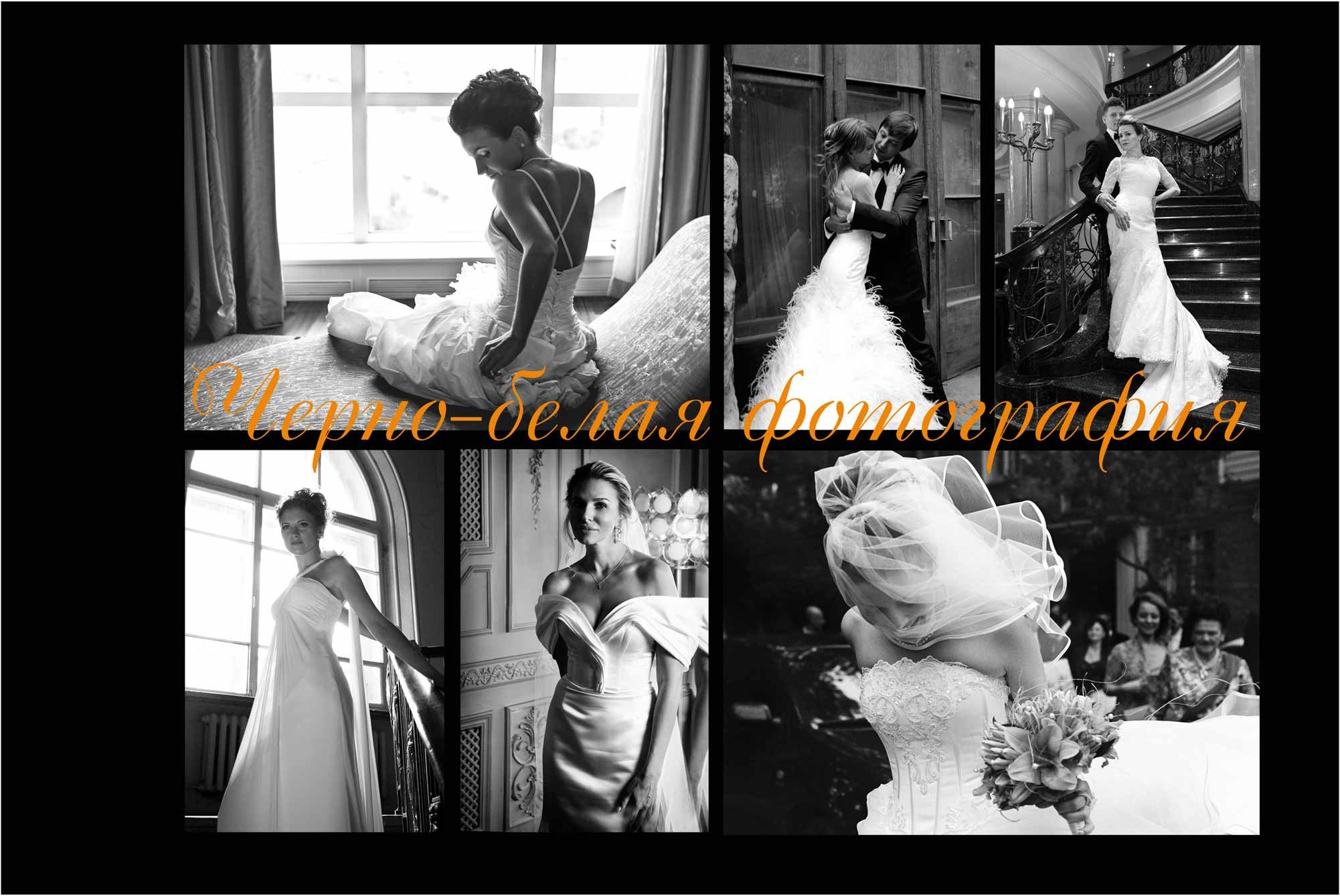 Дмитрий Лившиц - фотограф. Москва