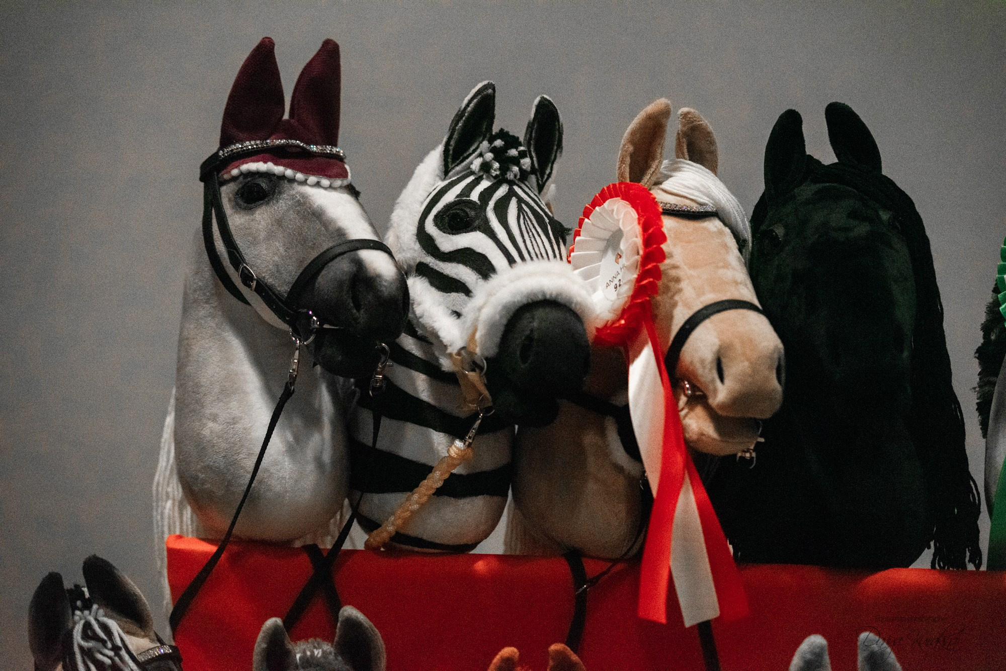 8-я международная выставка Конная Россия. Конный фотограф Куракина Дарья • Фотосессии с лошадьми