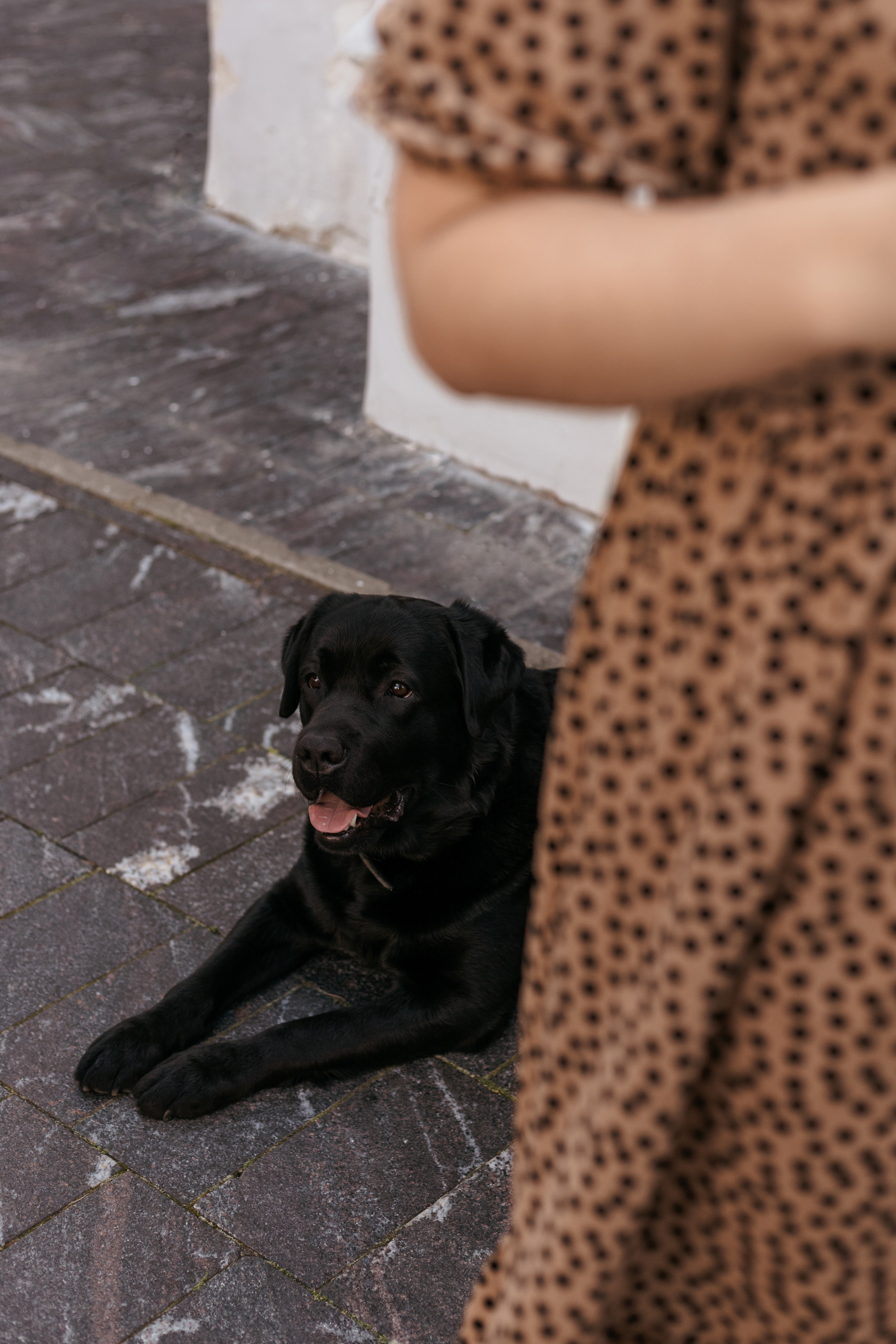 Лёша & Дина. Фотограф в Нижнем Новгороде| Шоронова Снежана