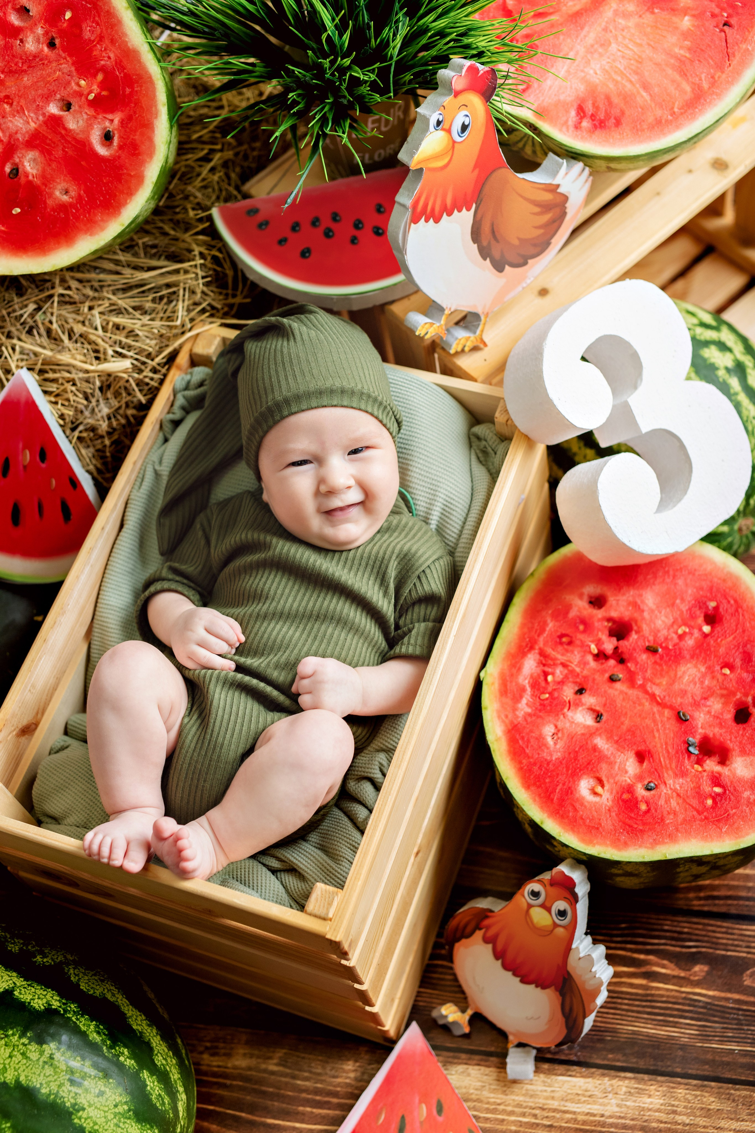 Арбузы. Фотограф Болотова Иветта