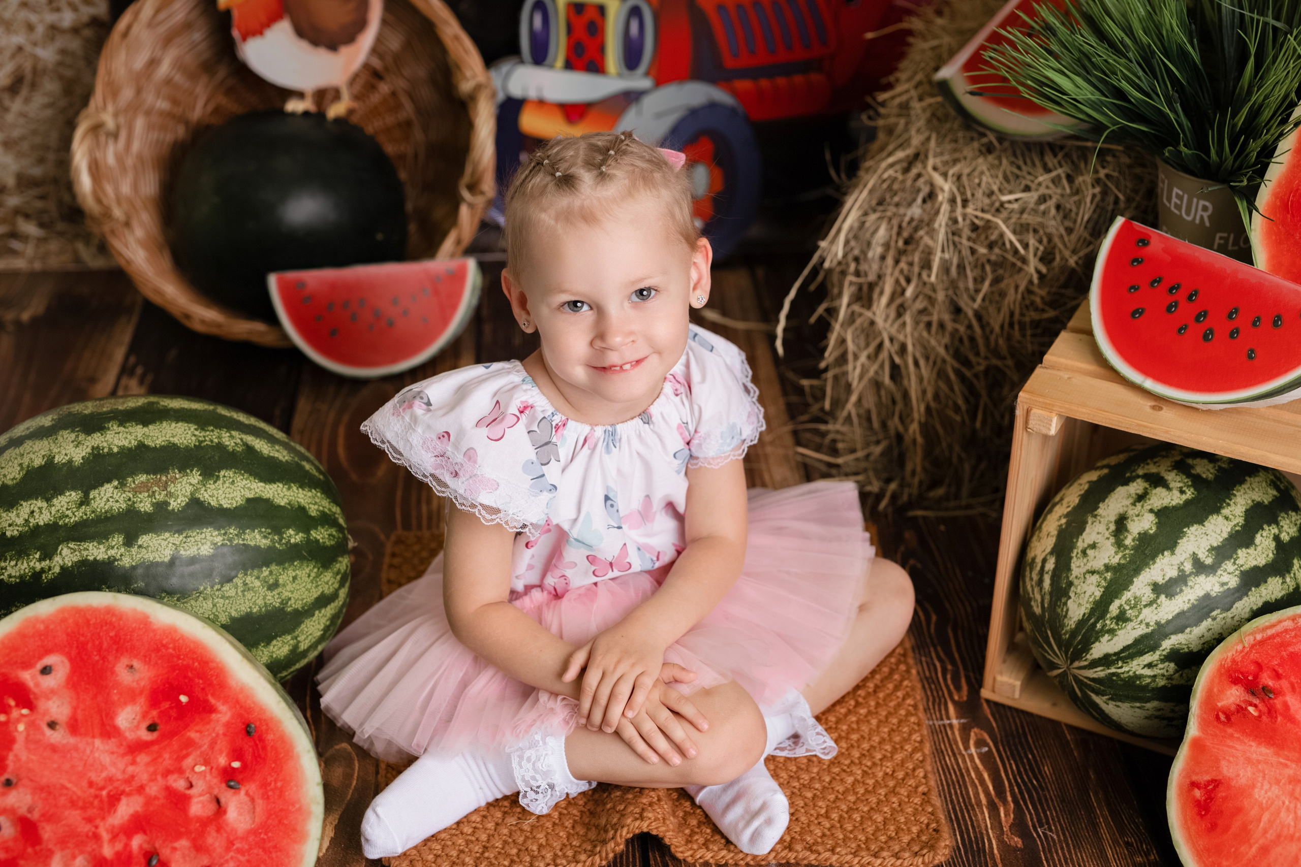 Арбузы. Фотограф Болотова Иветта