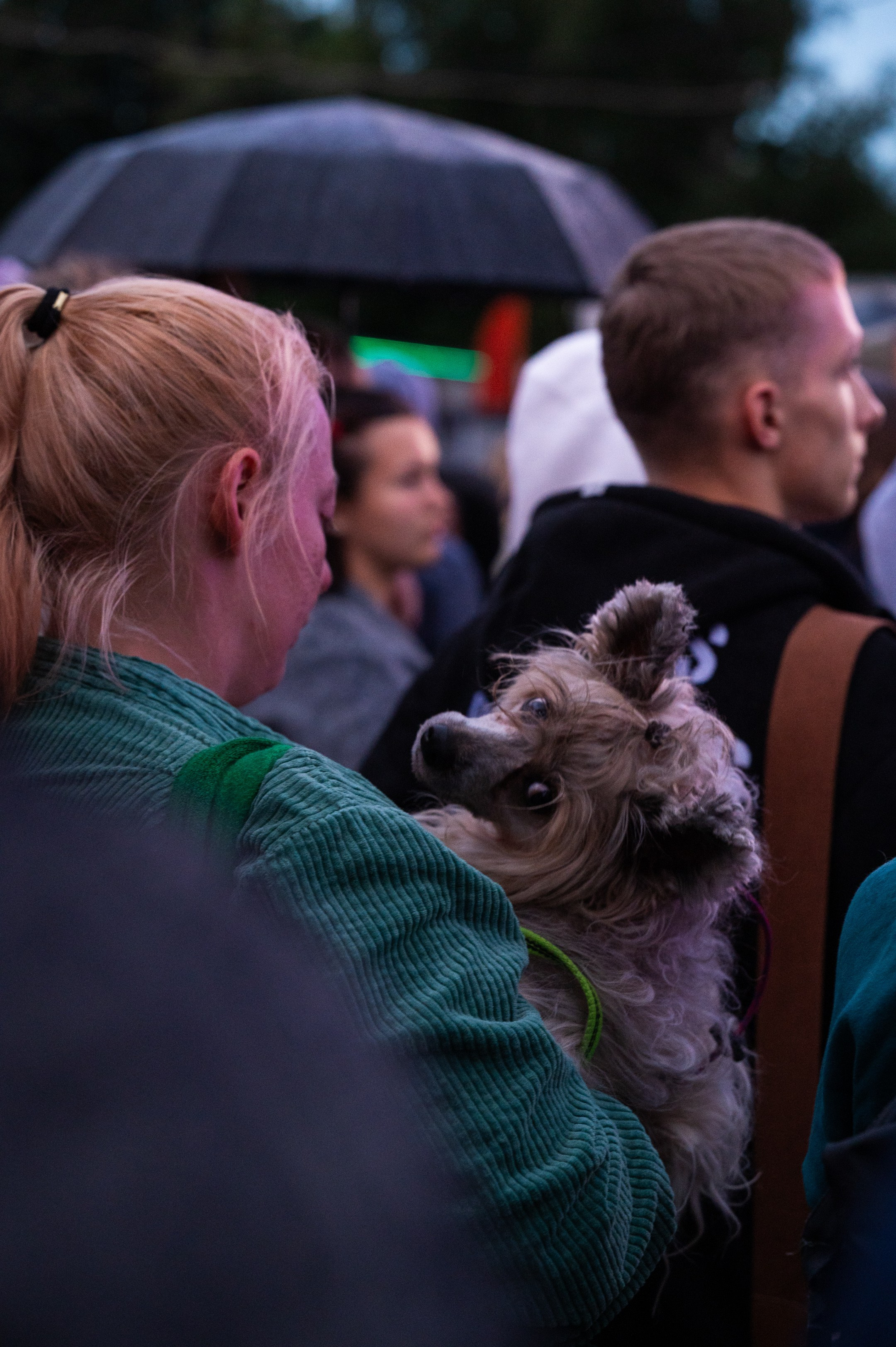 4lapy fest 2025. Photographer in Moscow Anna Chistiakova