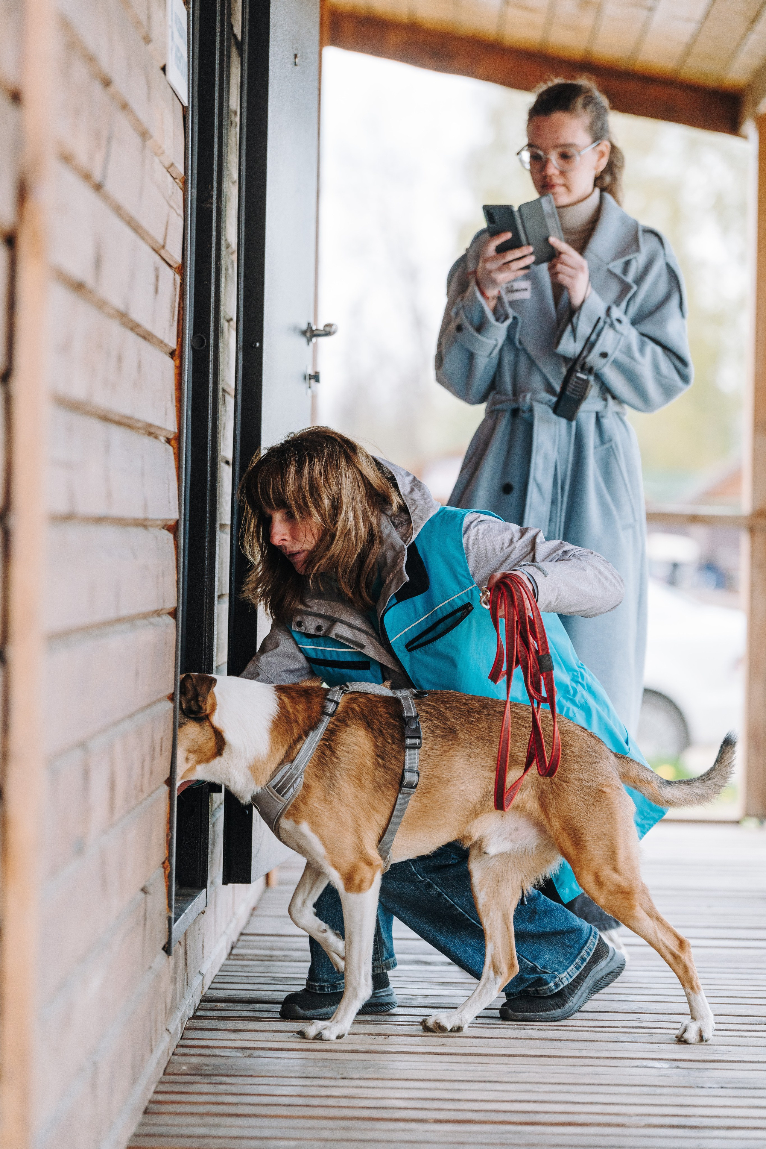 Соревнования по ноузворку в Лосево. Фотограф анималист в Спб недорого Олеся Майорова