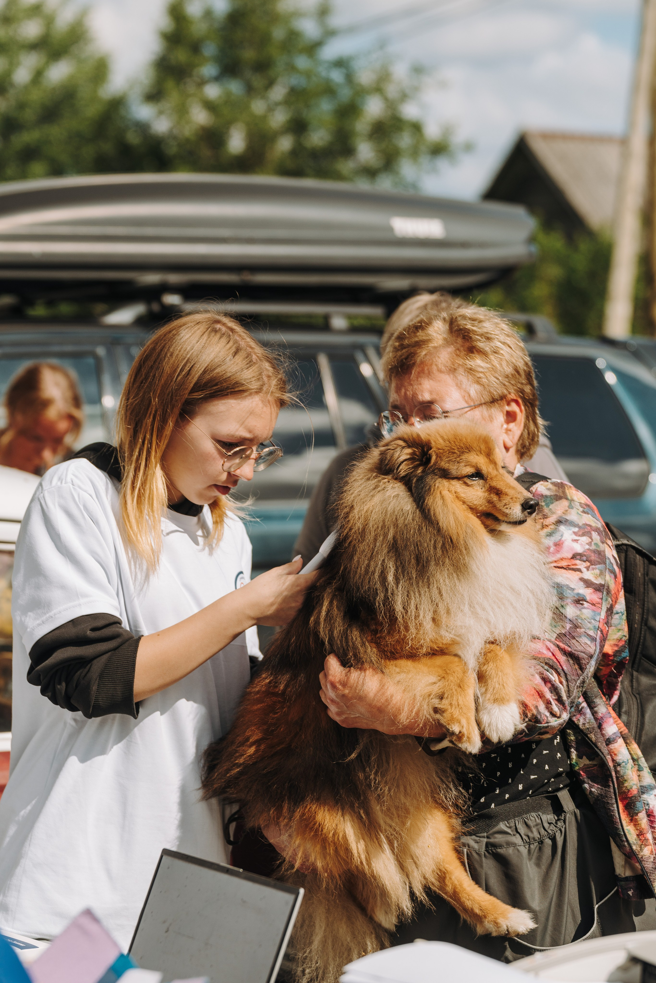Соревнования по ноузворку. Фотограф анималист в Спб недорого Олеся Майорова