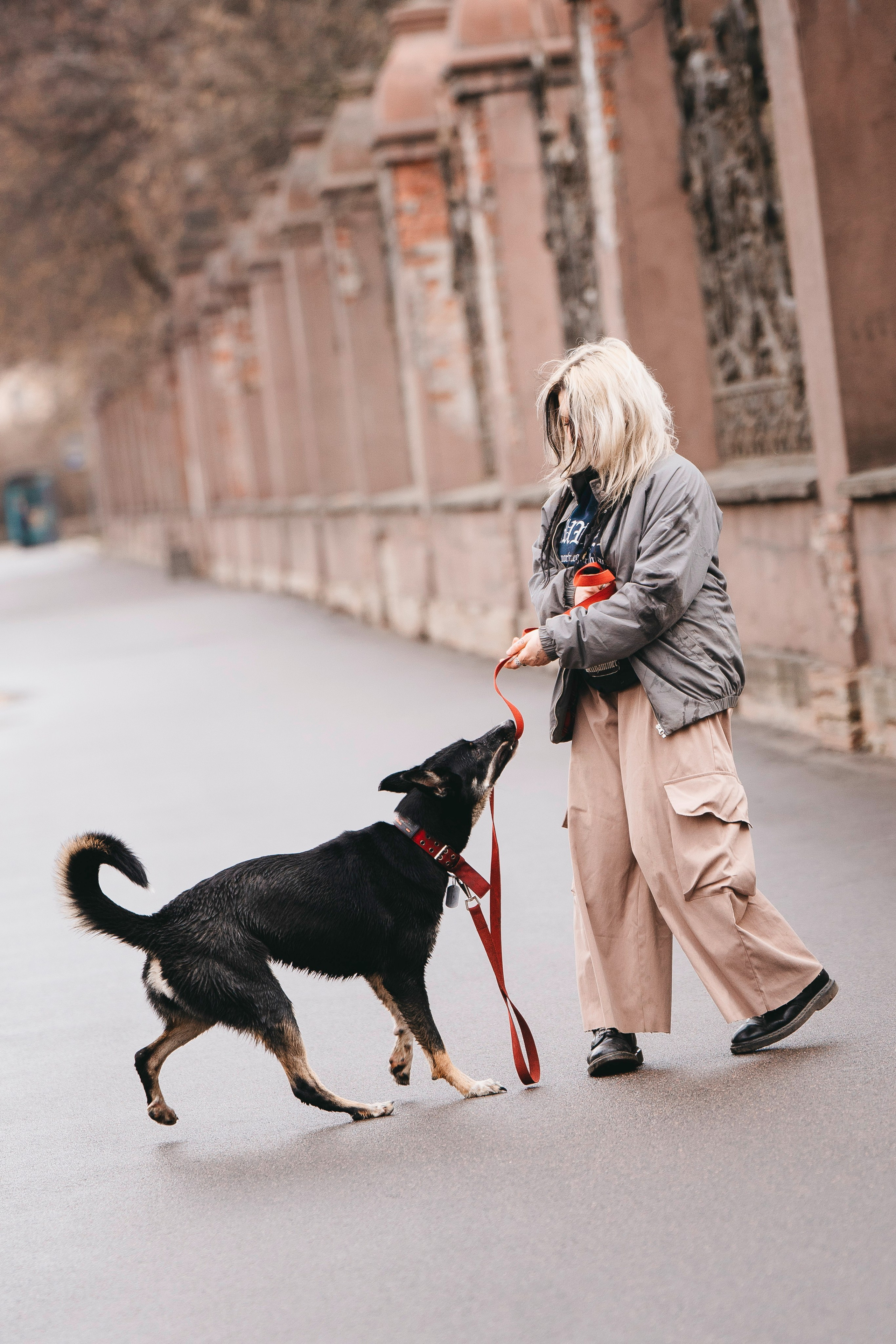 Эля и Шиза. Фотограф анималист в Спб недорого Олеся Майорова