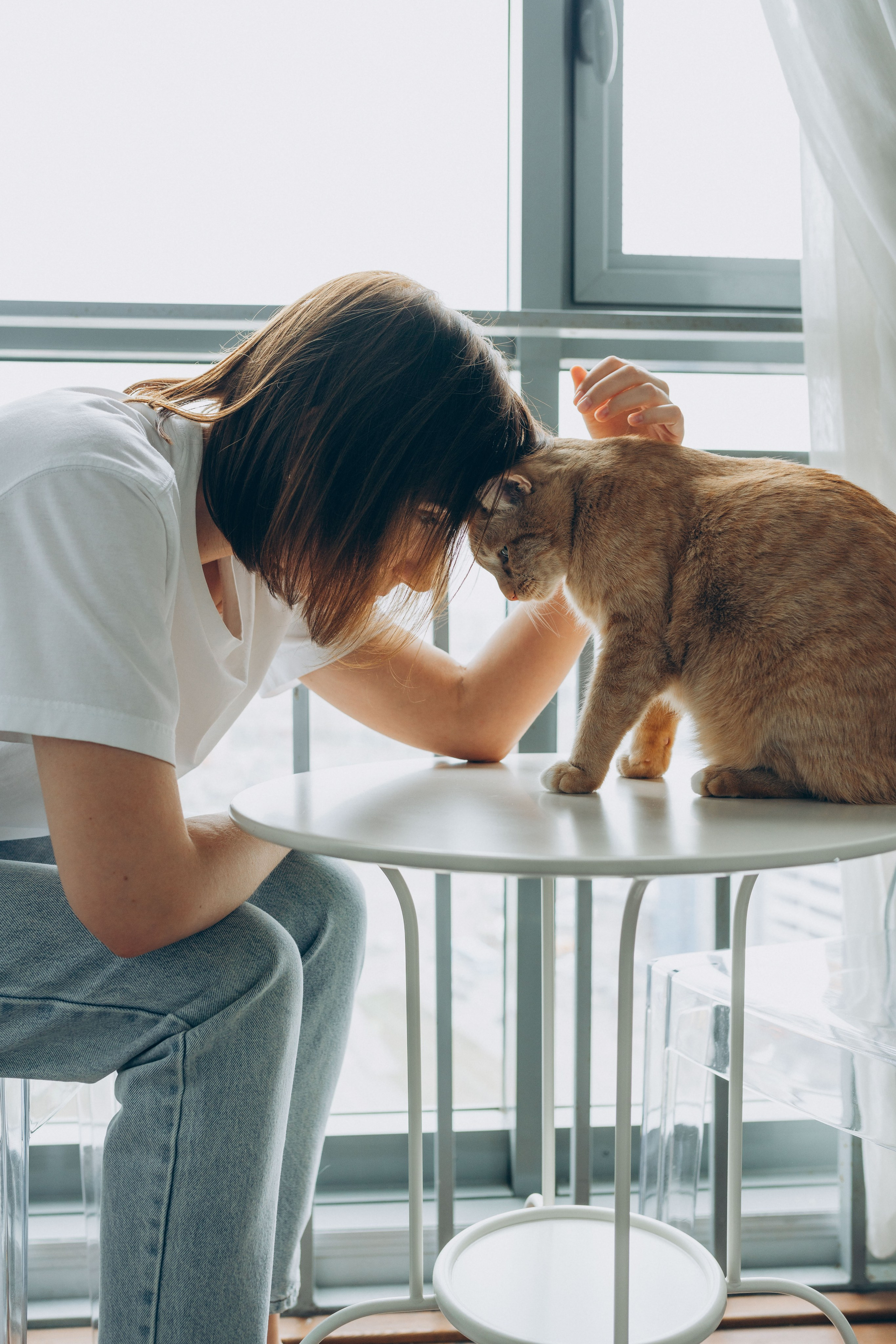 Даша и Брукс. Фотограф анималист в Спб недорого Олеся Майорова