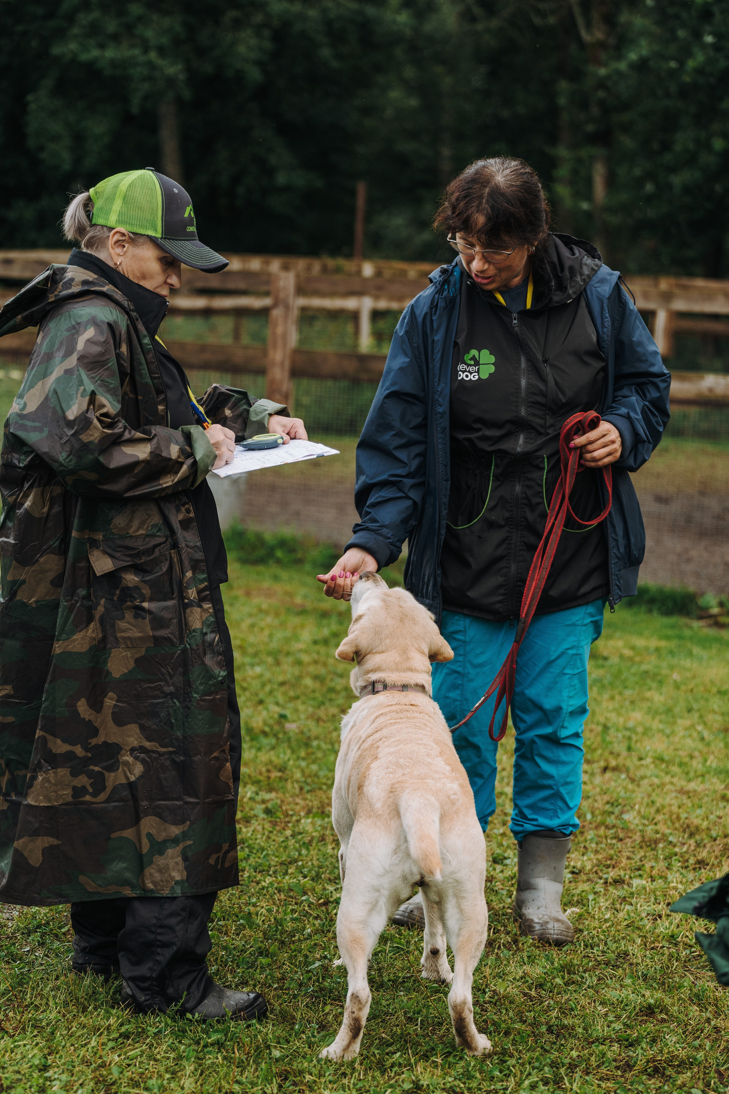 Соревнования по ноузворку в Новожилово. Фотограф анималист в Спб недорого Олеся Майорова