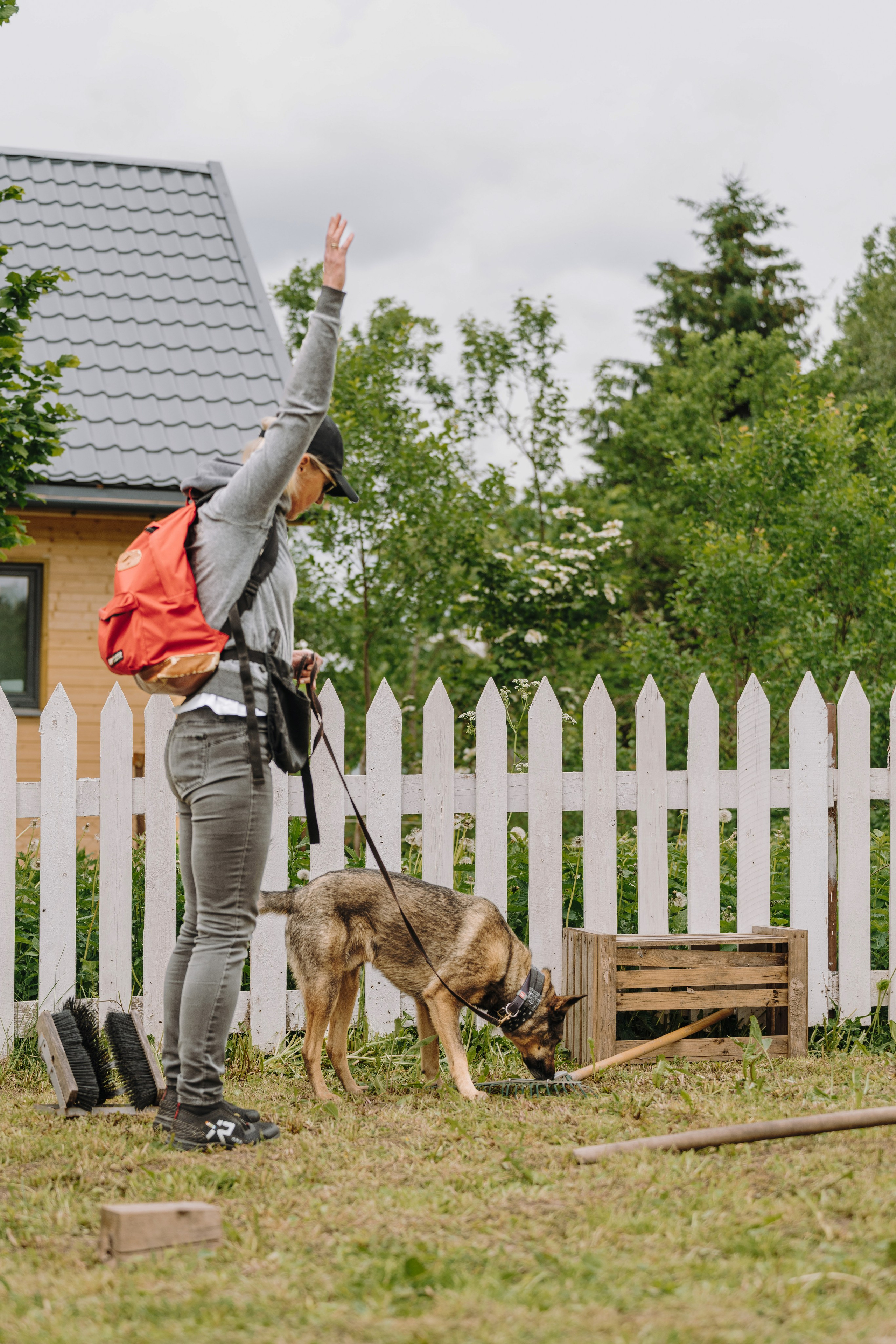 Соревнования по ноузворку. Фотограф анималист в Спб недорого Олеся Майорова