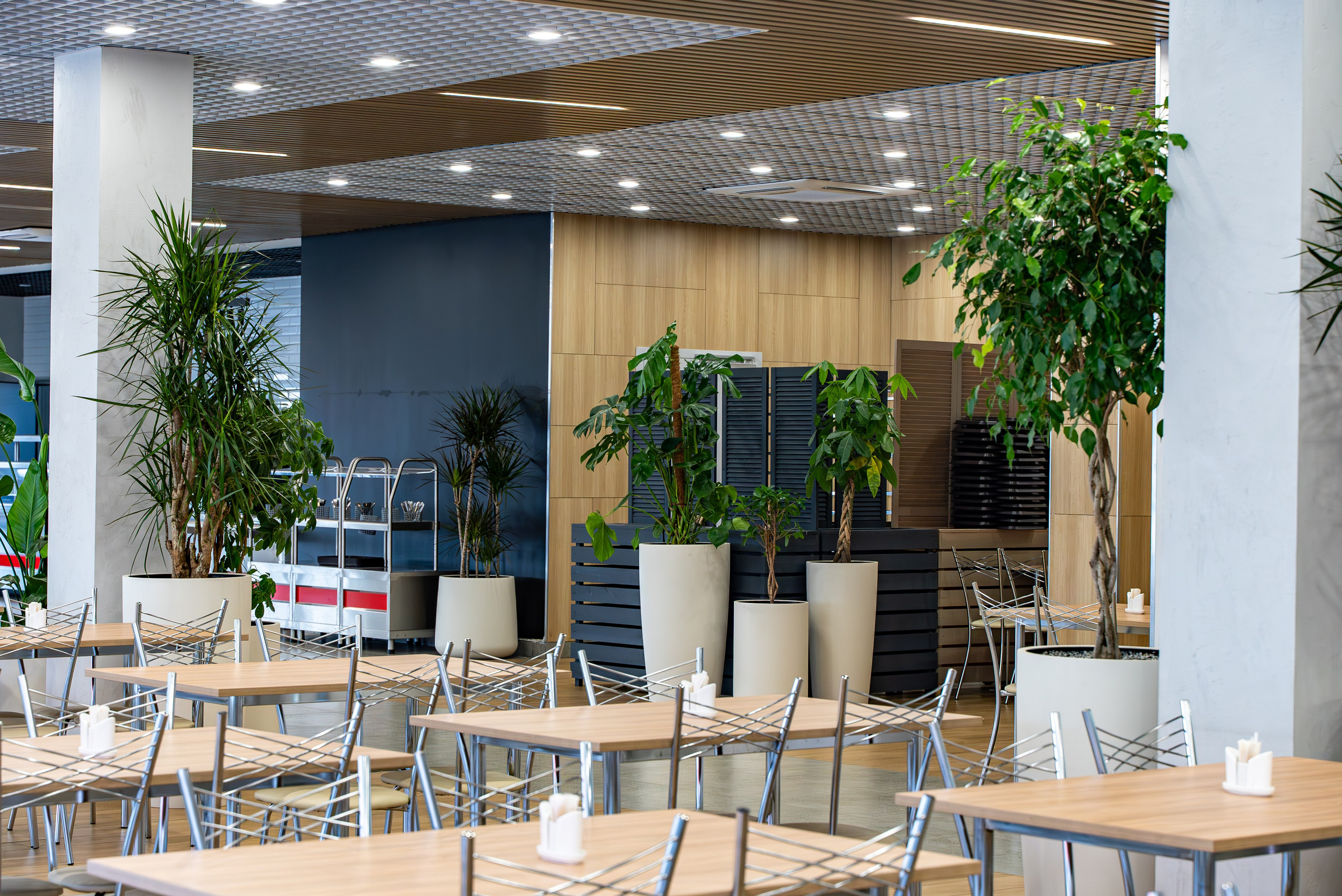 Индустриальный парк — озеленение. KUSTOV PRODUCTION — профессиональная фотосъёмка в Москве