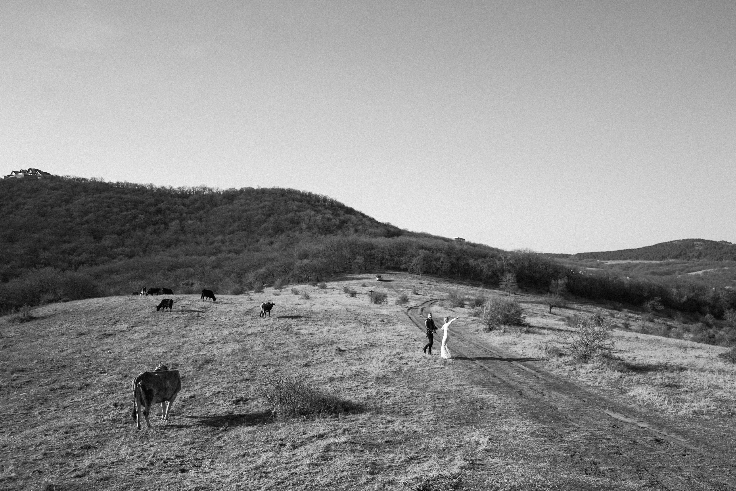 Wedding photographer in Georgia. Photographer in Georgia UAE Russia Nekit Fox