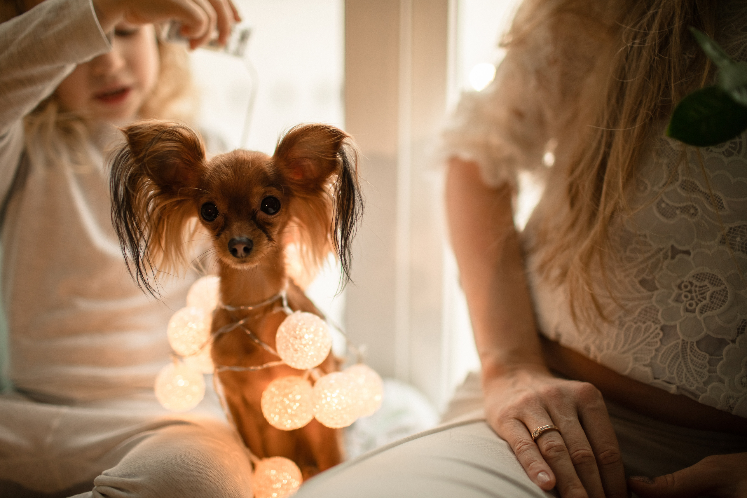 Домашняя съемка. Олеся и Лерочка. Ваша история в фотографиях