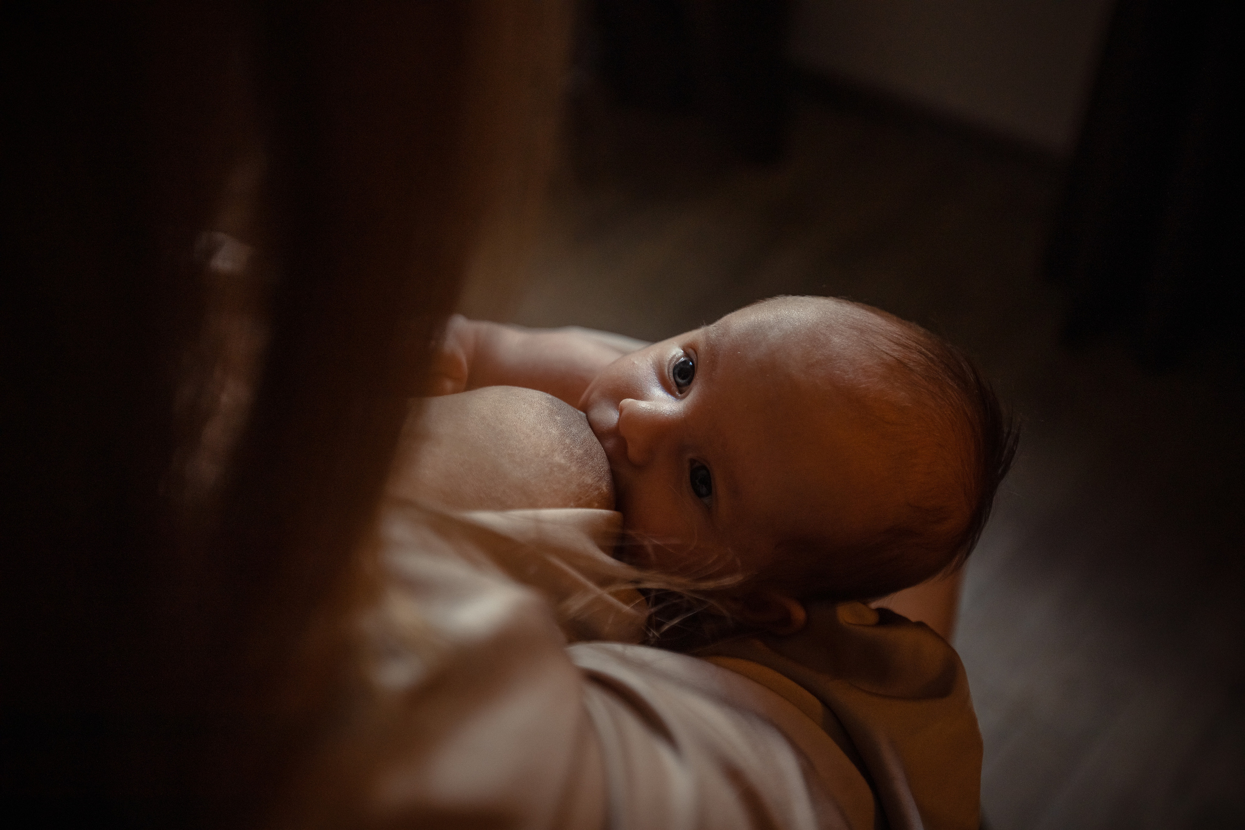 Эля и Василиса. Ваша история в фотографиях