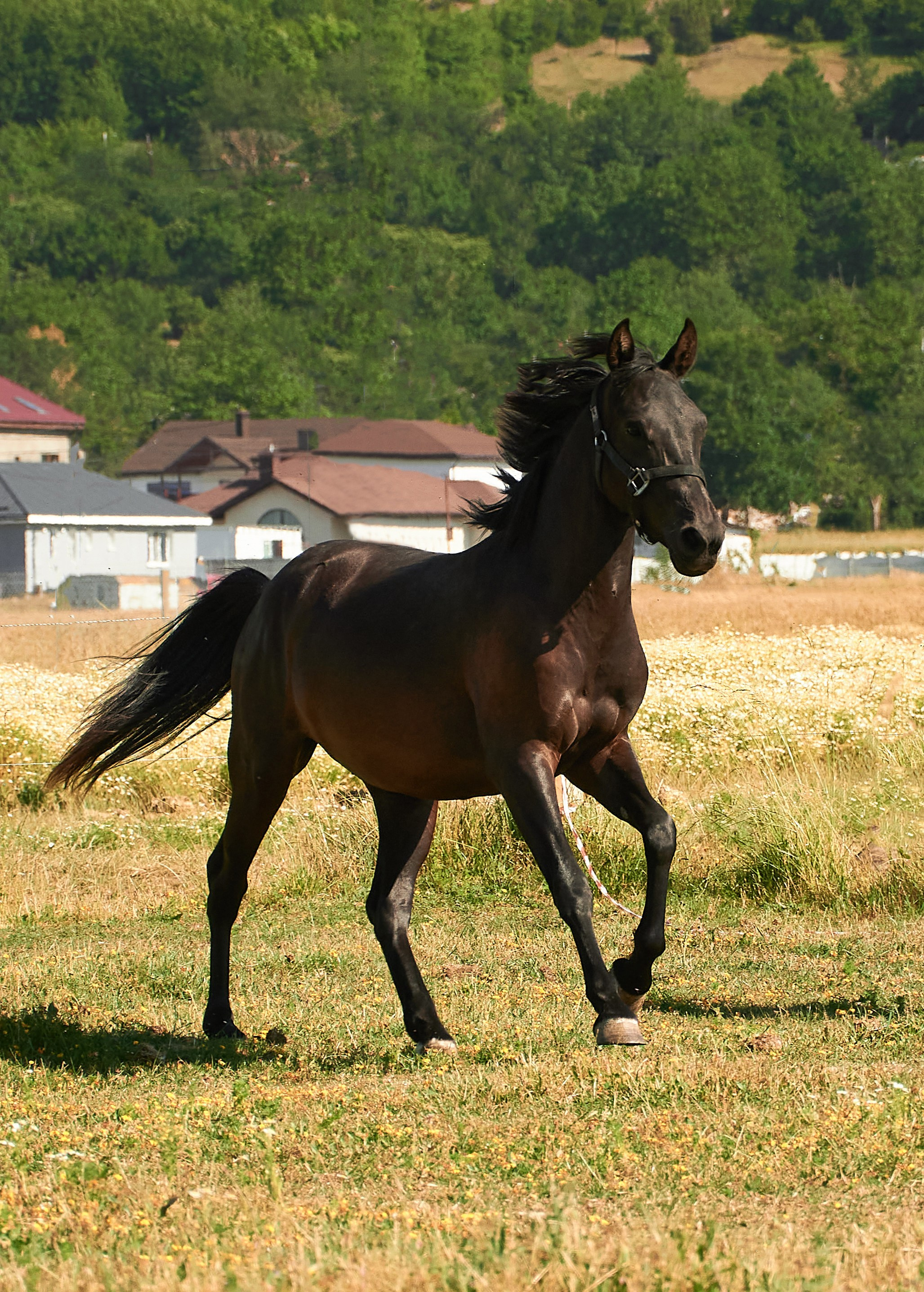 Изя. Фотограф в Севастополе